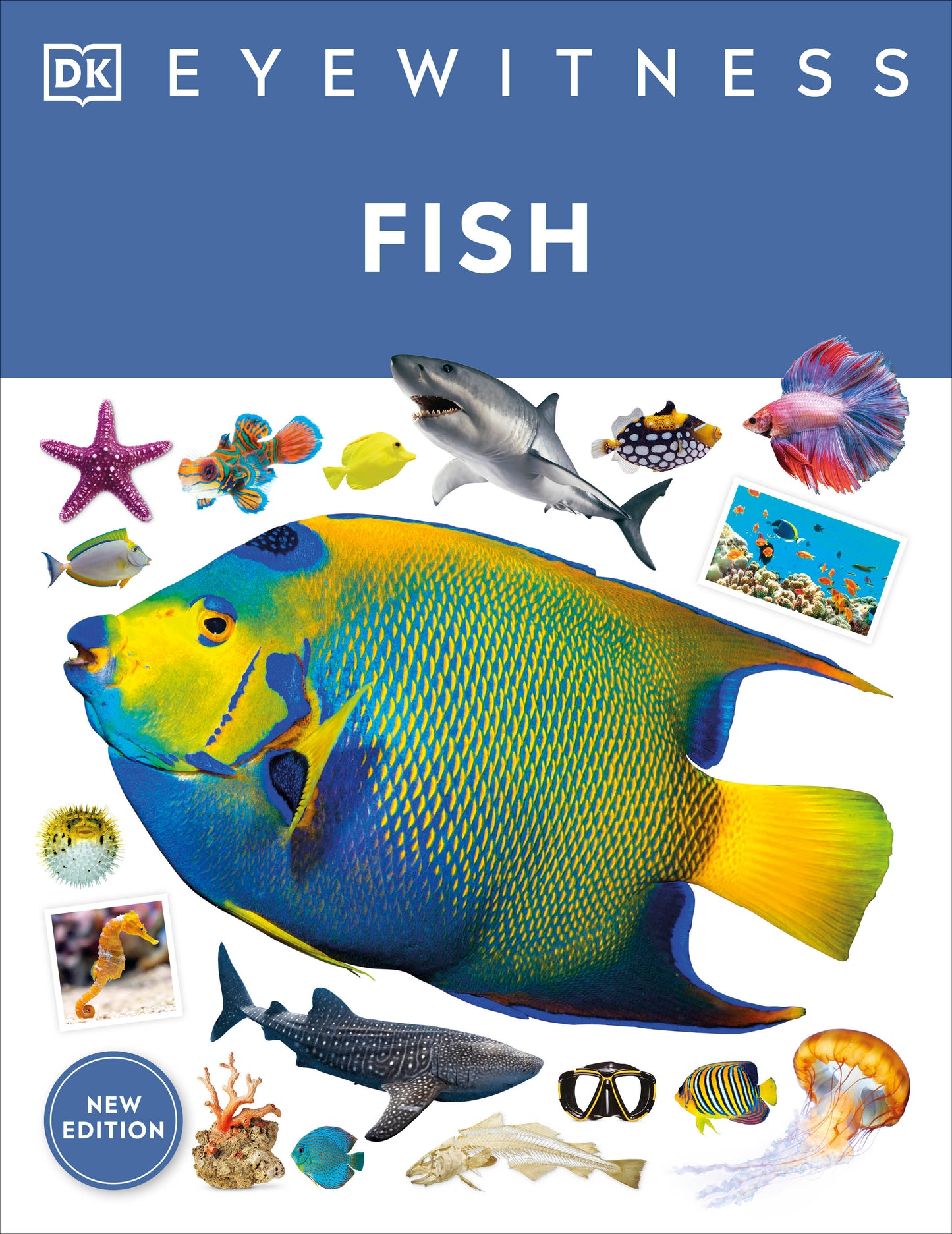Eyewitness Fish (DK Eyewitness)