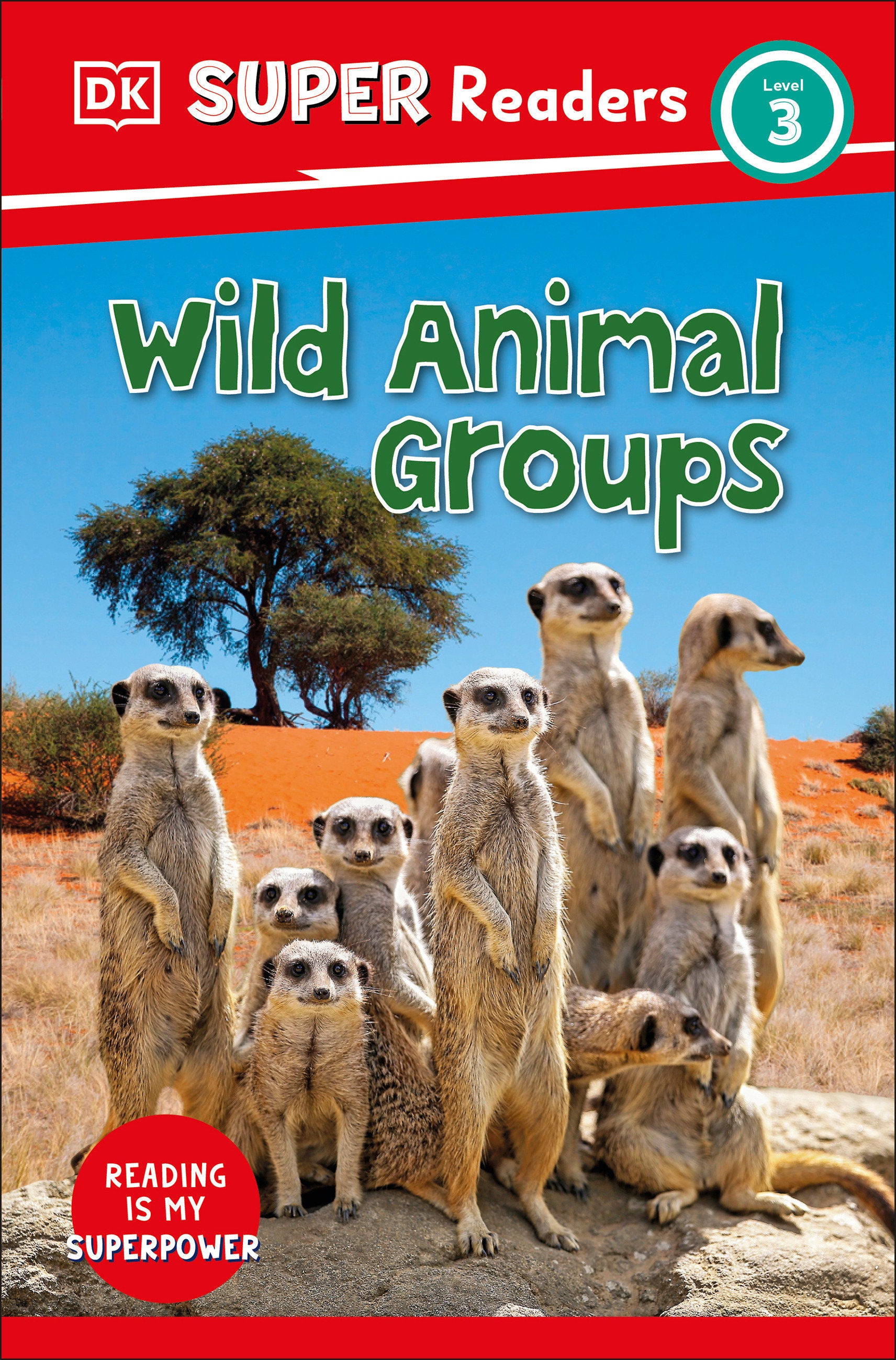 DK Super Readers Level 3 Wild Animal Groups (DK Super Readers)