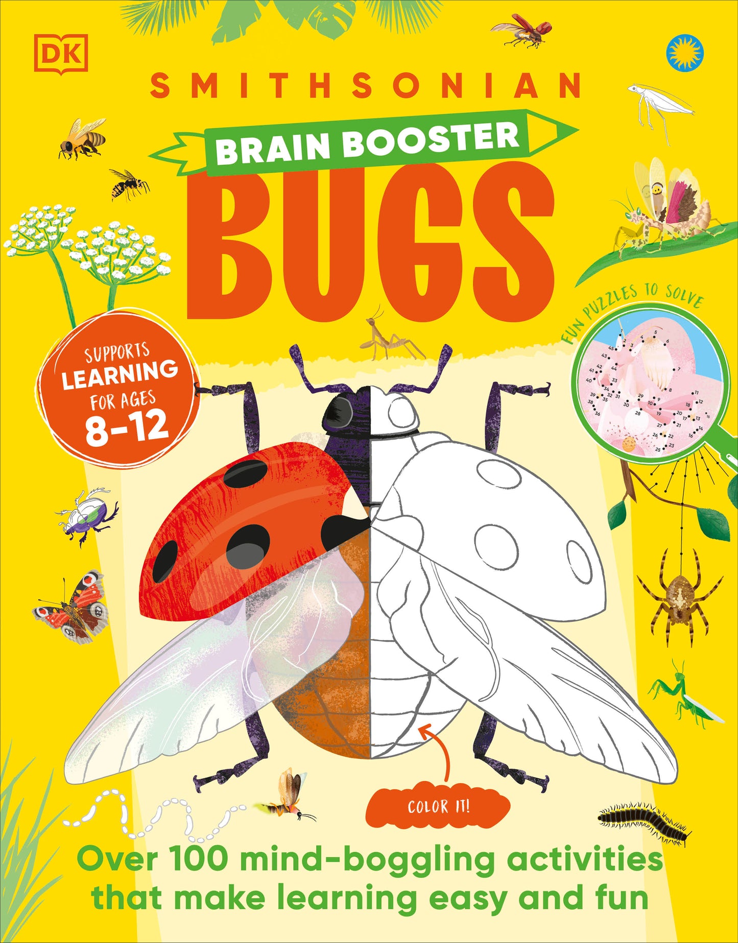 Brain Booster Bugs - Over 100 Brain-Boosting Activities that Make Learning Easy and Fun (DK Brain Booster)