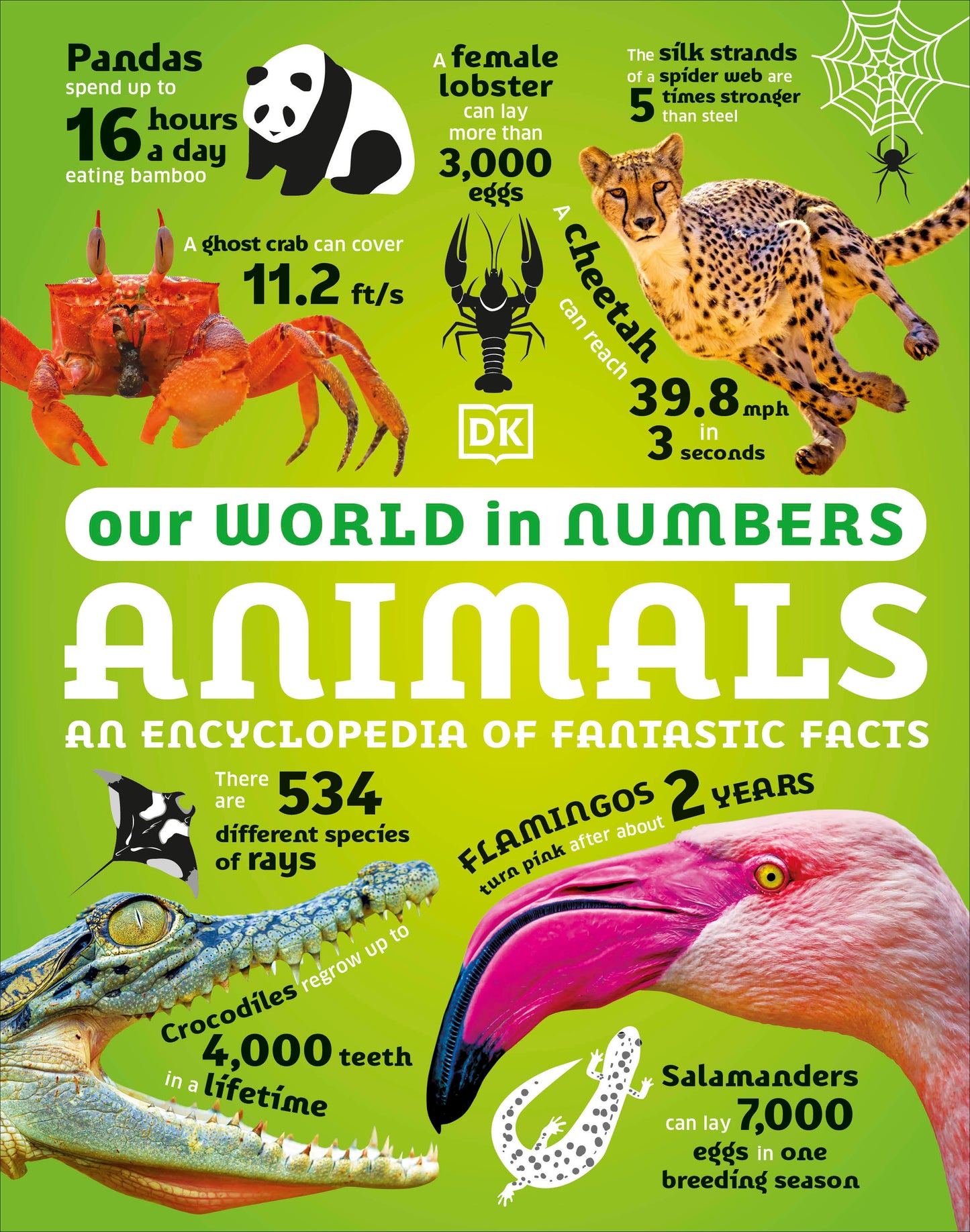 Our World in Numbers Animals - An Encyclopedia of Fantastic Facts (DK Oour World in Numbers)