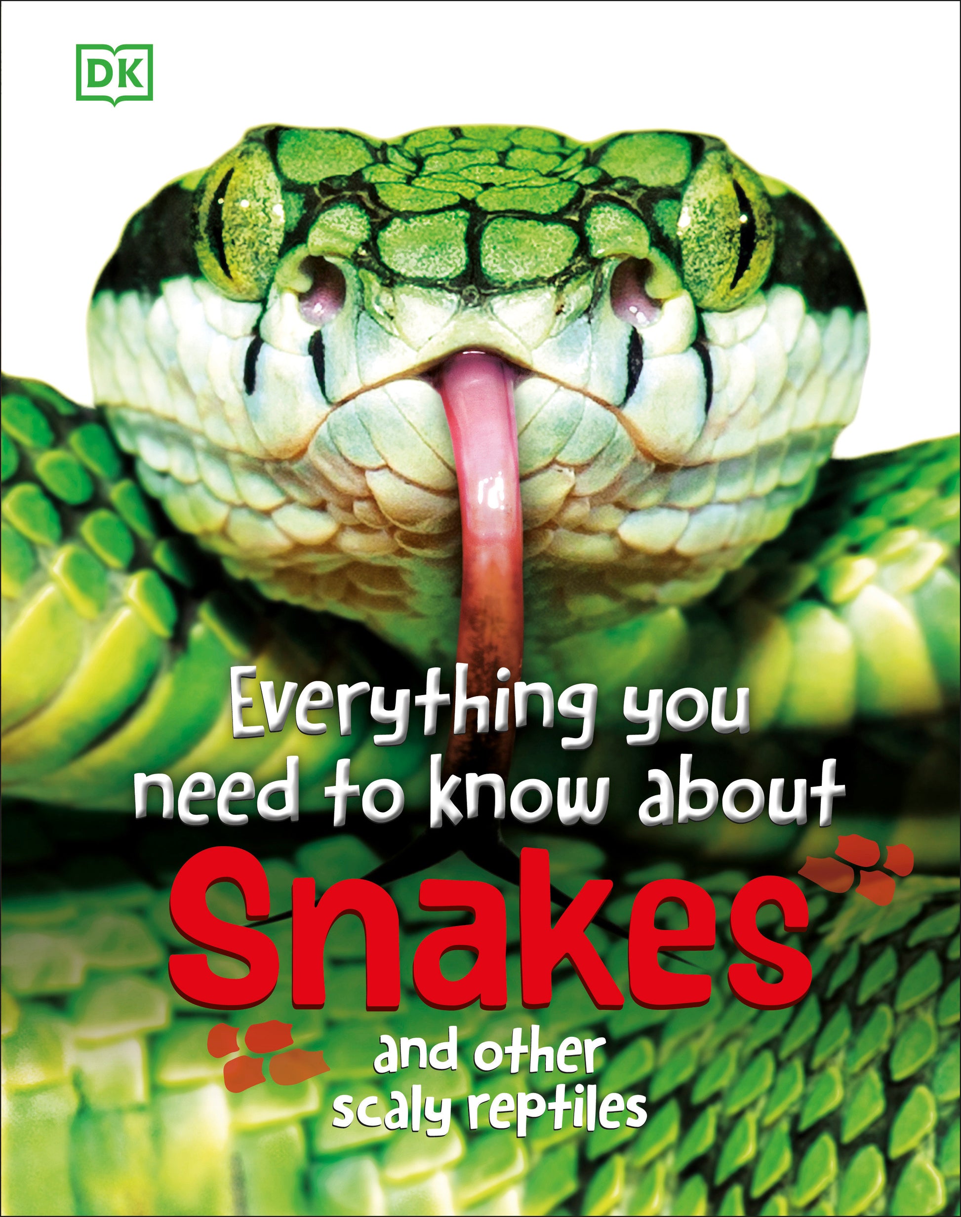Everything You Need to Know About Snakes - And Other Scaly Reptiles (Everything You Need to Know)