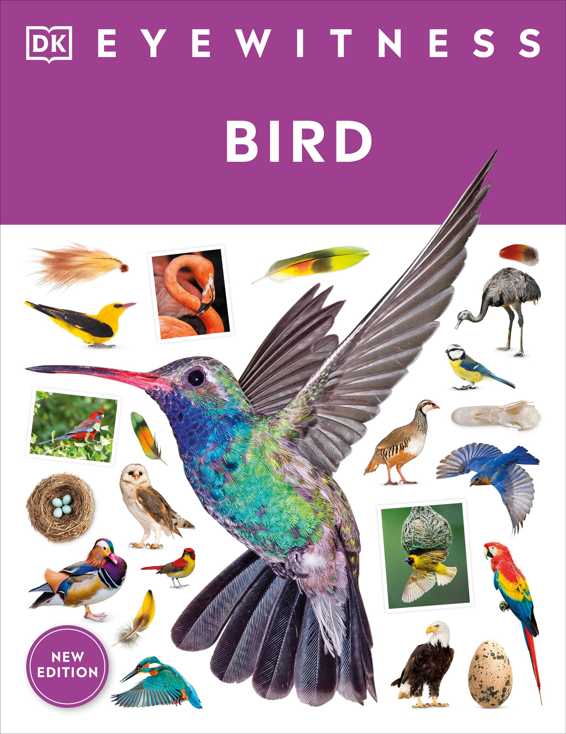 Eyewitness Bird (DK Eyewitness)