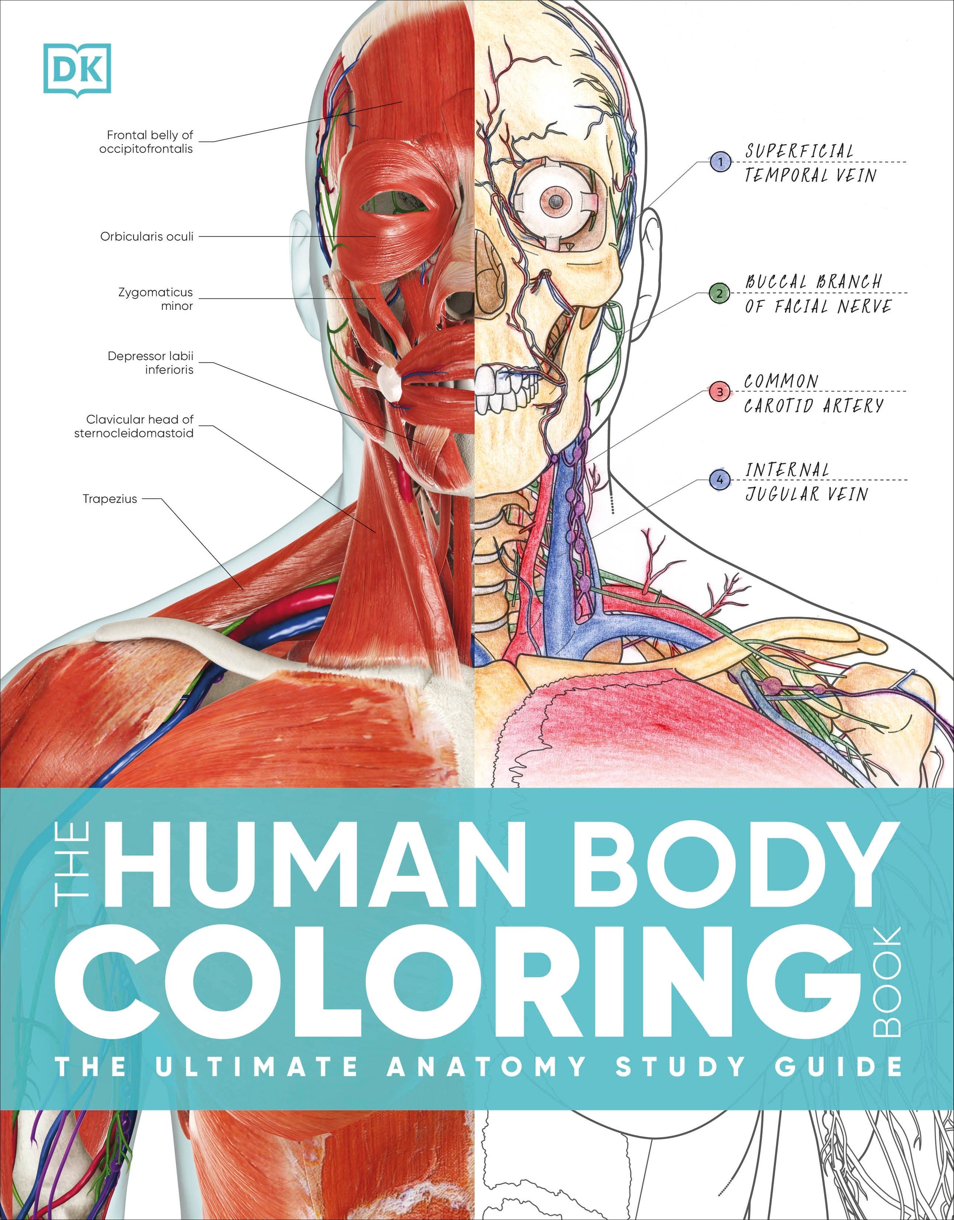 The Human Body Coloring Book - The Ultimate Anatomy Study Guide, Second Edition
