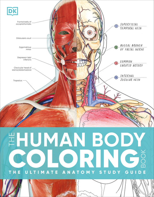The Human Body Coloring Book - The Ultimate Anatomy Study Guide, Second Edition