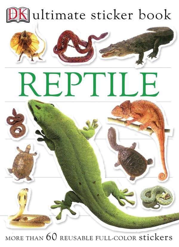 Ultimate Sticker Book: Reptile - More Than 60 Reusable Full-Color Stickers (Ultimate Sticker Book)