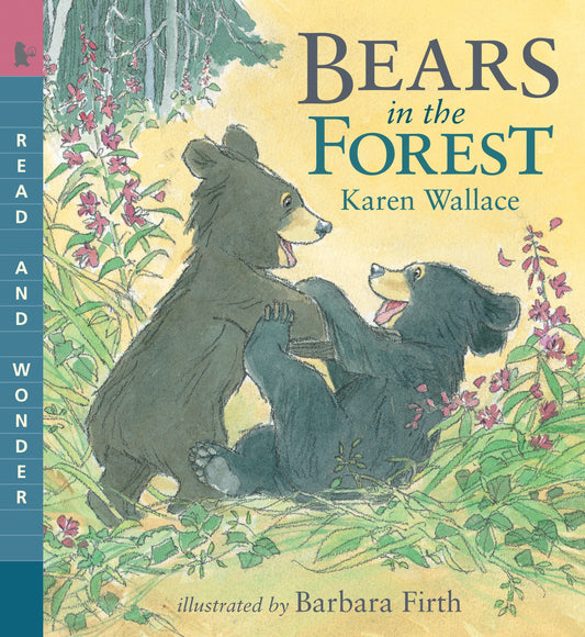 Bears in the Forest - Read and Wonder (Read and Wonder)