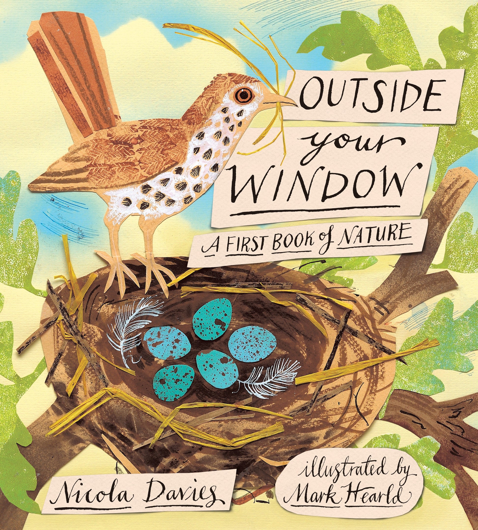 Outside Your Window - A First Book of Nature