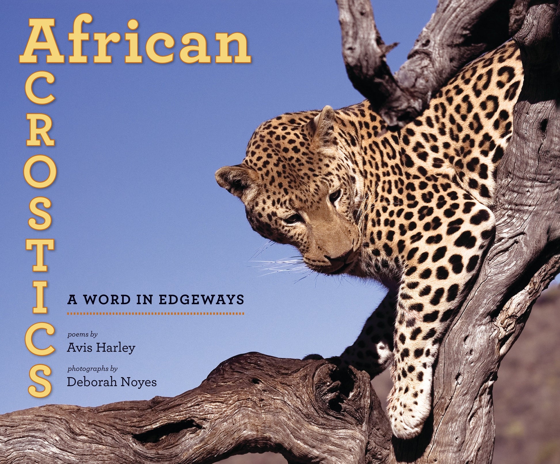 African Acrostics - A Word in Edgeways