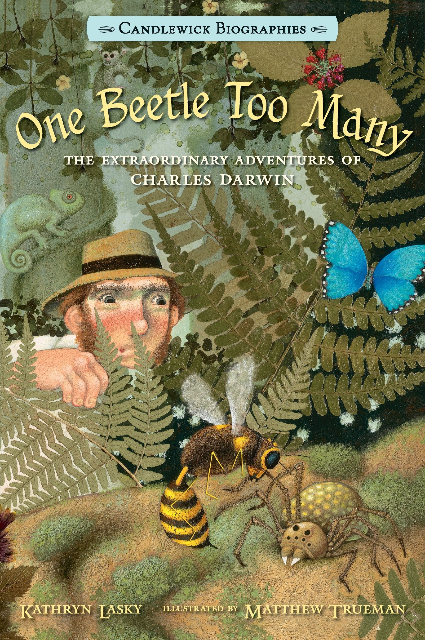 One Beetle Too Many - The Extraordinary Adventures of Charles Darwin: Candlewick Biographies (Candlewick Biographies)