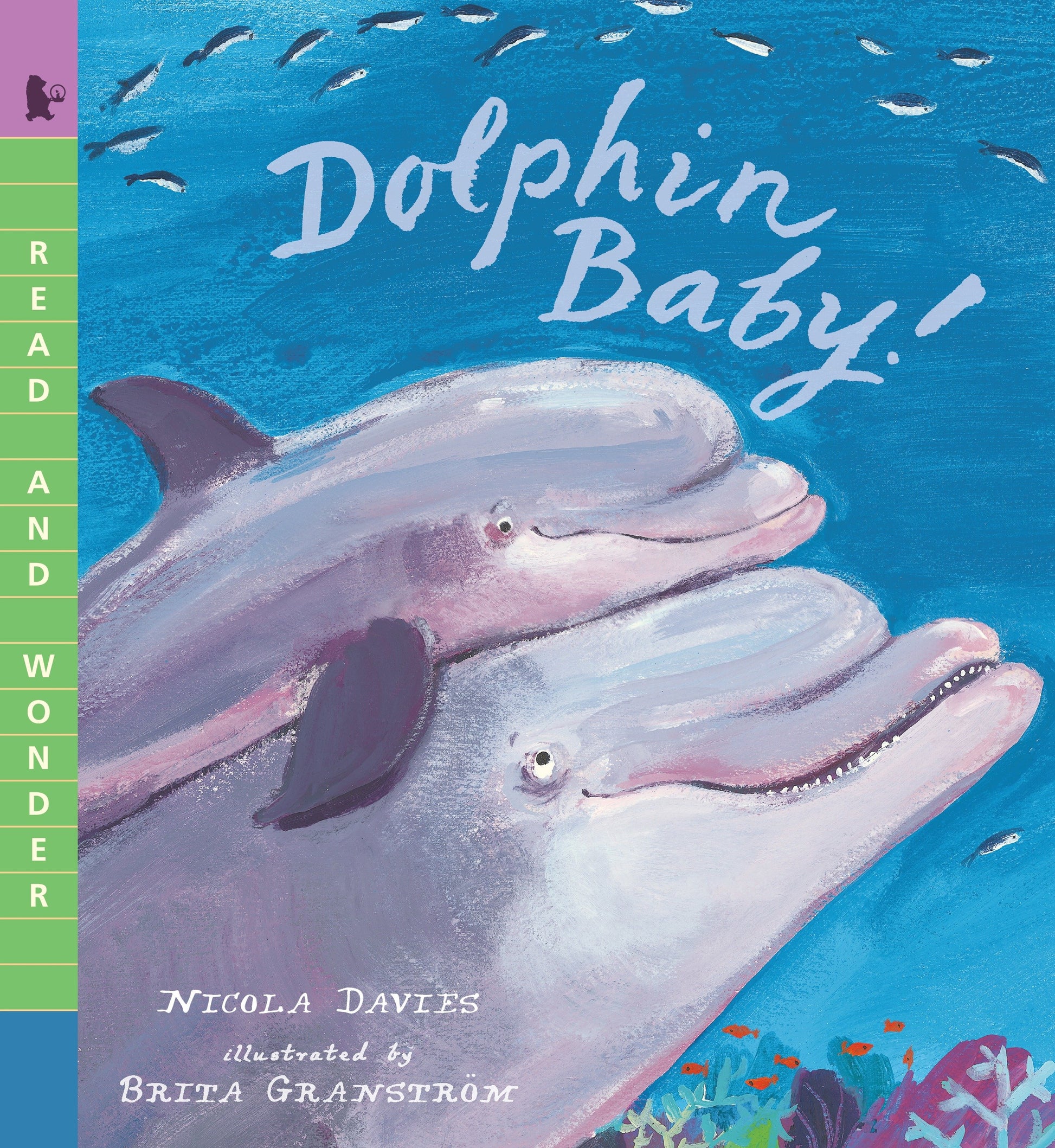 Dolphin Baby! - Read and Wonder (Read and Wonder)