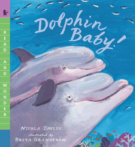 Dolphin Baby! - Read and Wonder (Read and Wonder)