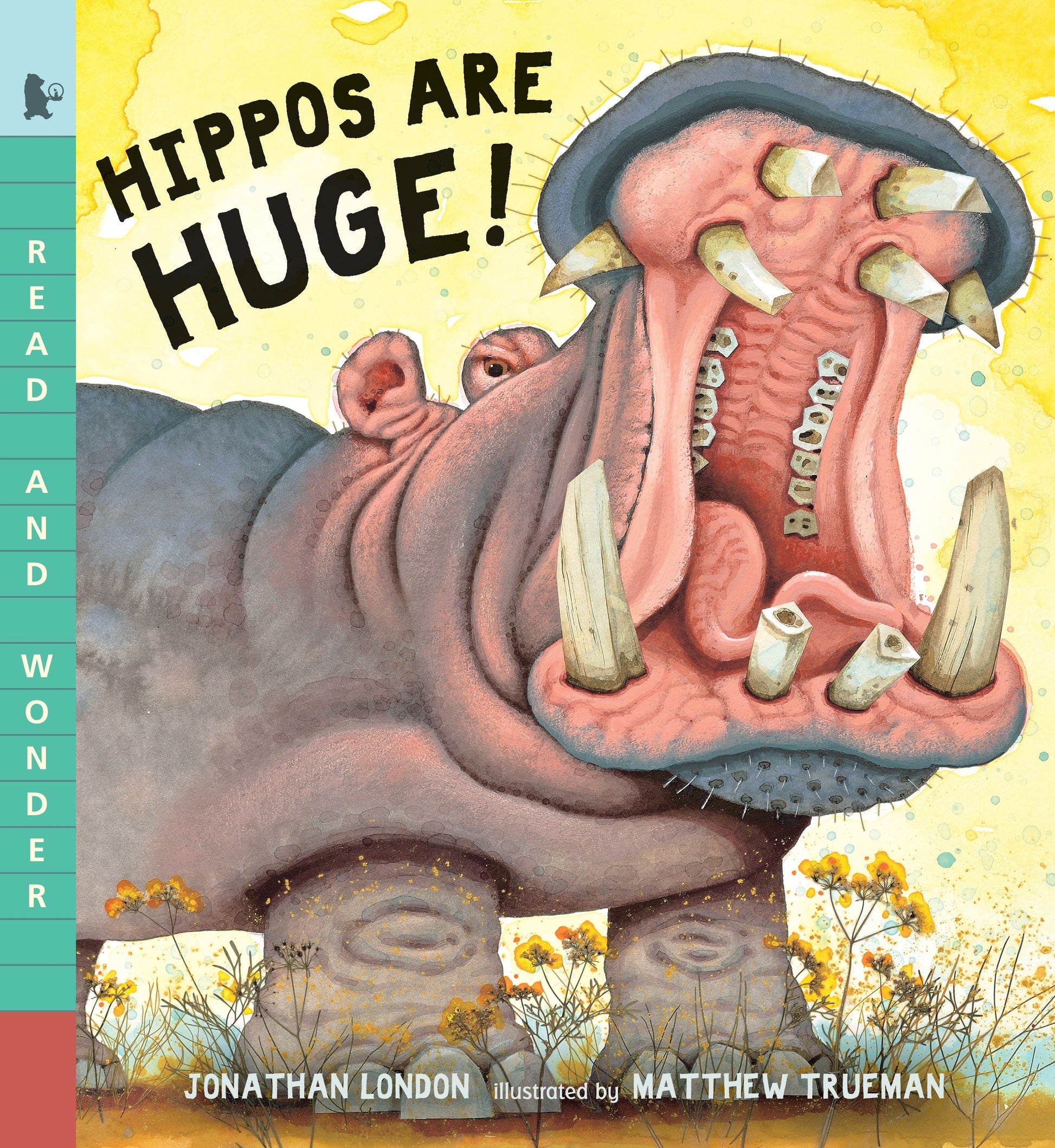 Hippos Are Huge! - Read and Wonder (Read and Wonder)