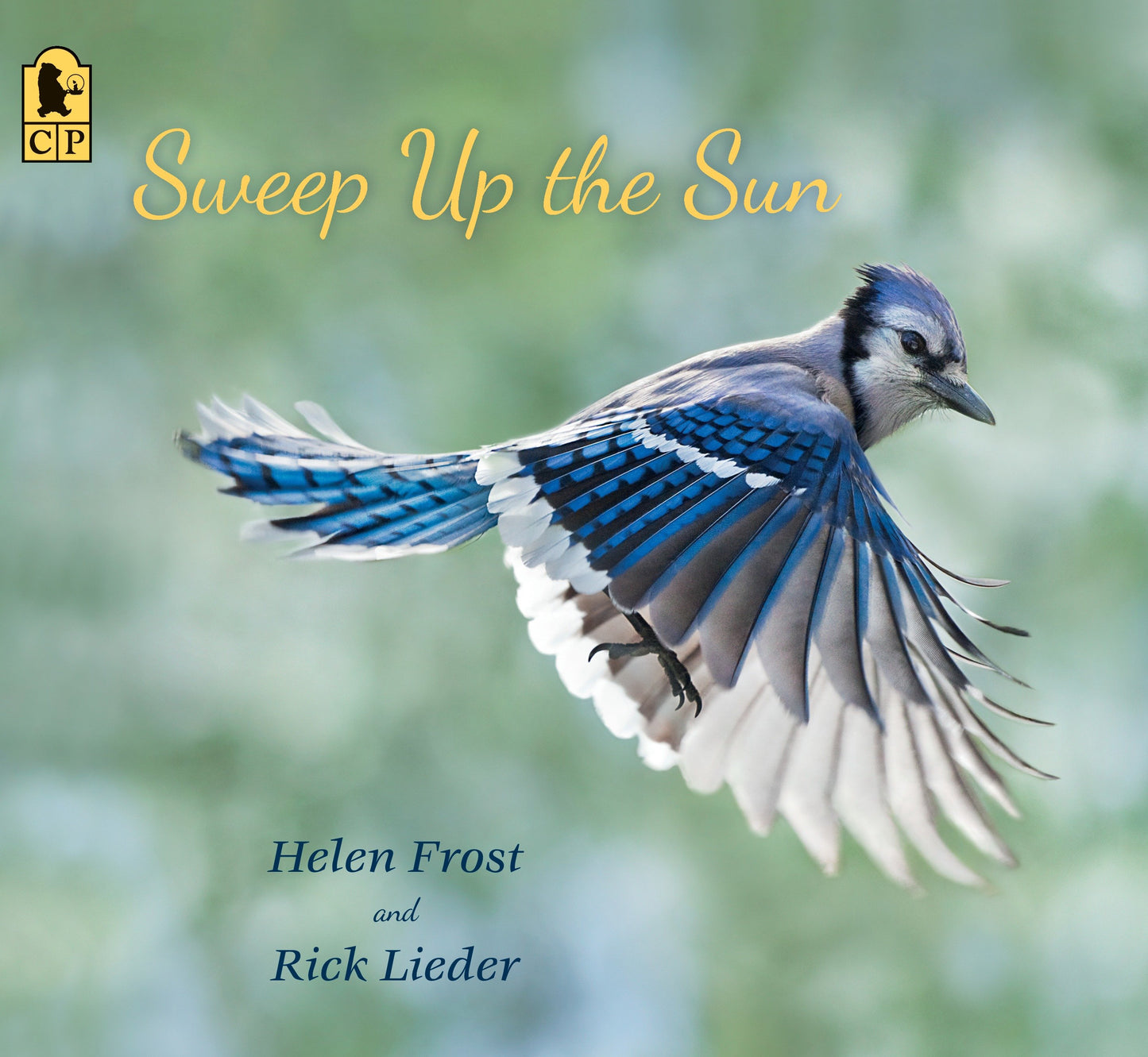 Sweep Up the Sun (Step Gently, Look Closely)