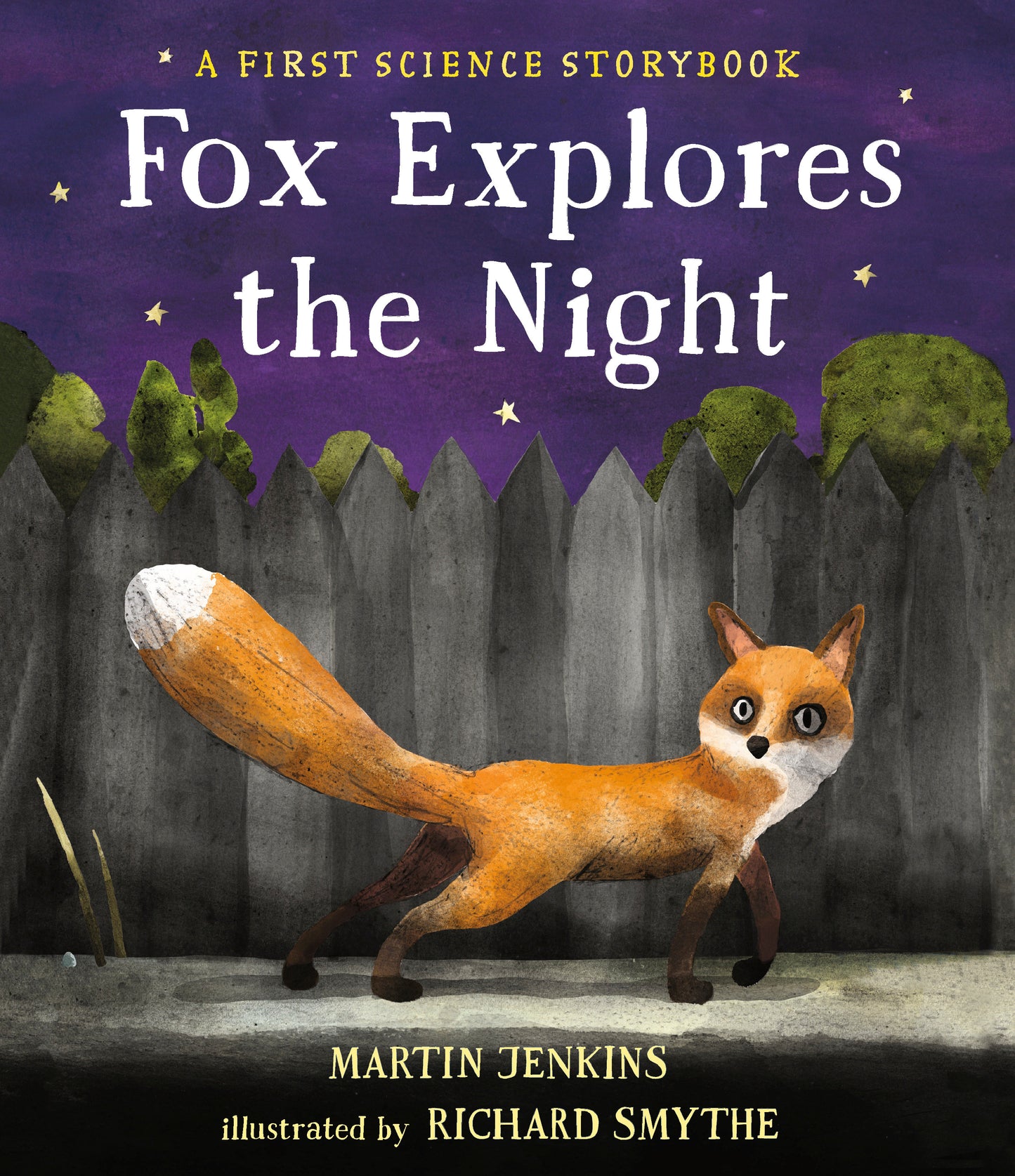 Fox Explores the Night: A First Science Storybook (Science Storybooks)