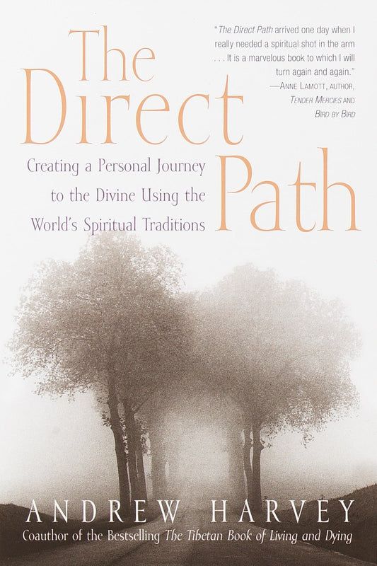 The Direct Path - Creating a Personal Journey to the Divine Using the World's Spirtual Traditions