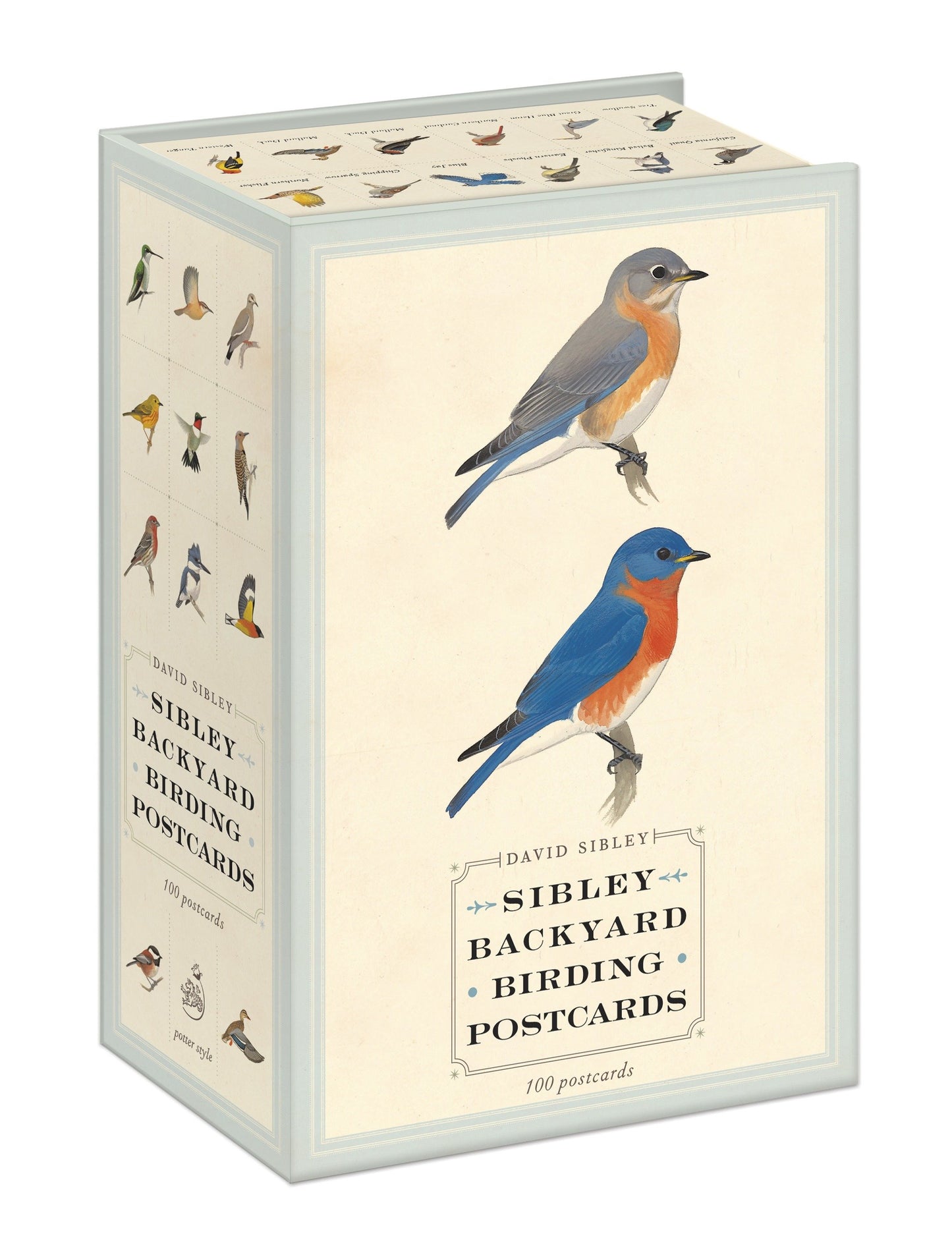 Sibley Backyard Birding Postcards - 100 Postcards (Sibley Birds)