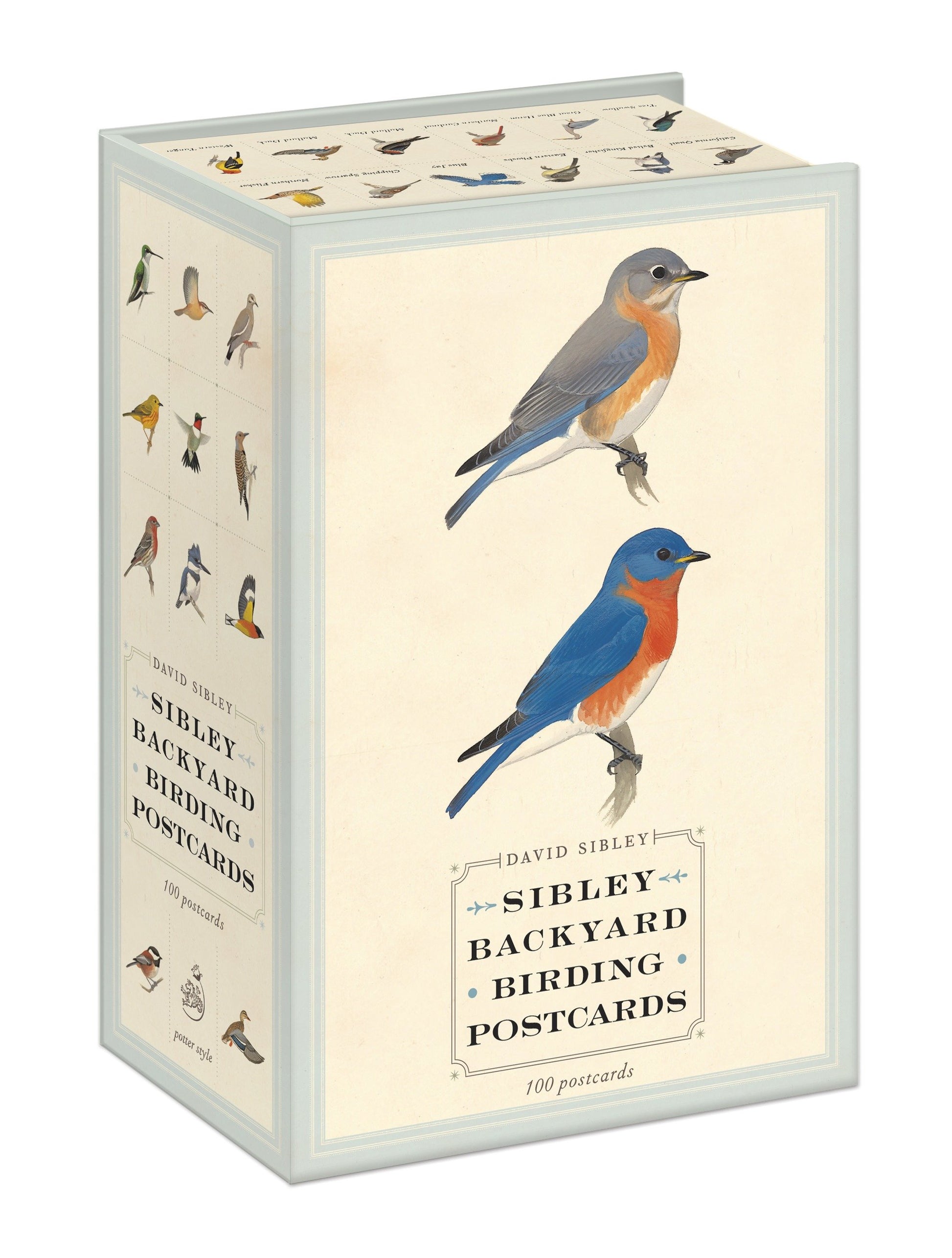 Sibley Backyard Birding Postcards - 100 Postcards (Sibley Birds)