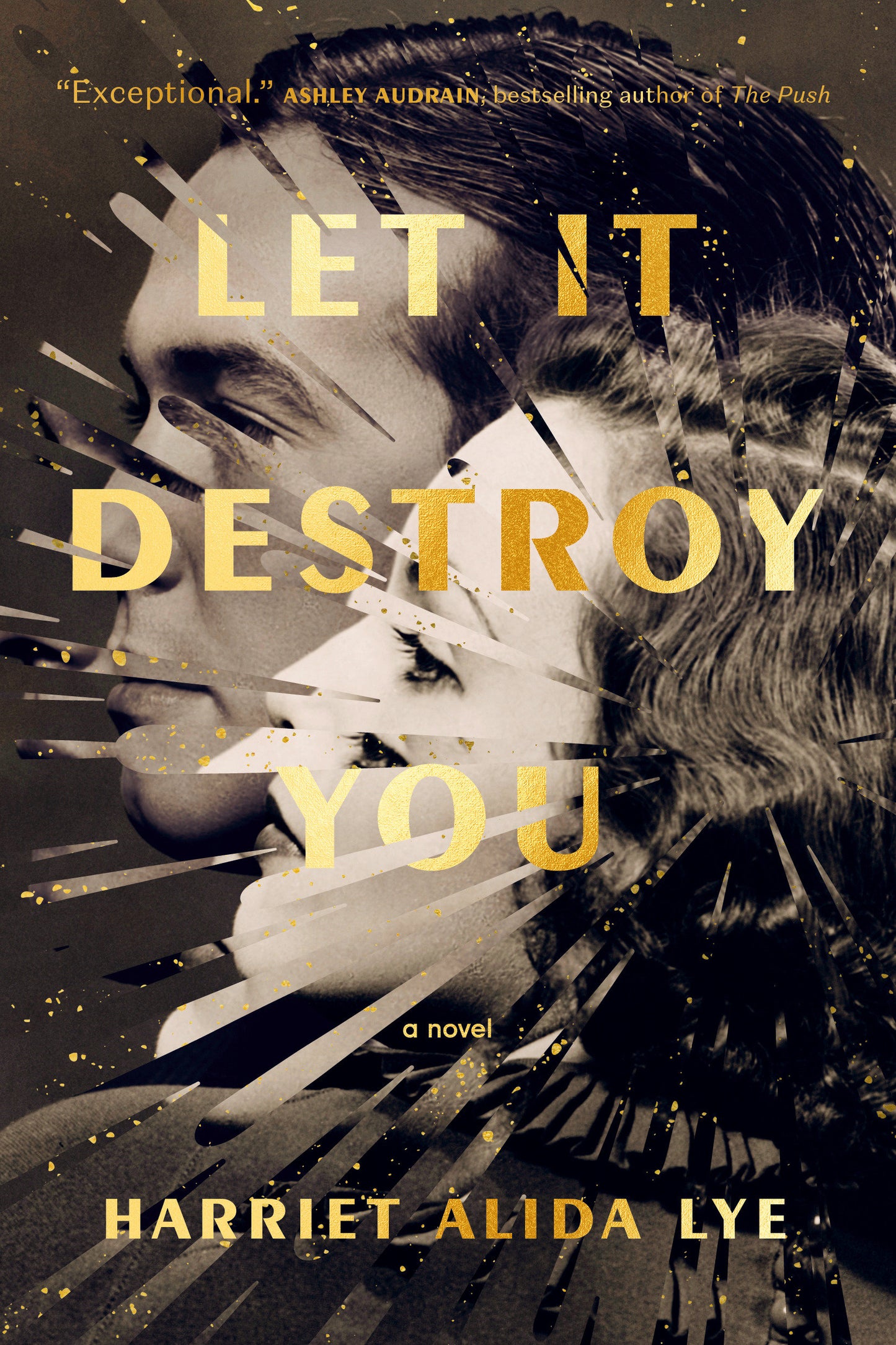 Let It Destroy You - A Novel