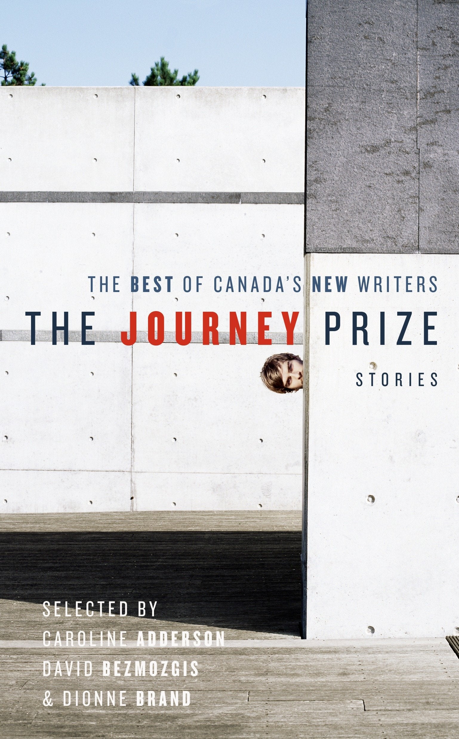 The Journey Prize Stories 19 - The Best of Canada's New Writers (Journey Prize) (Book:19)