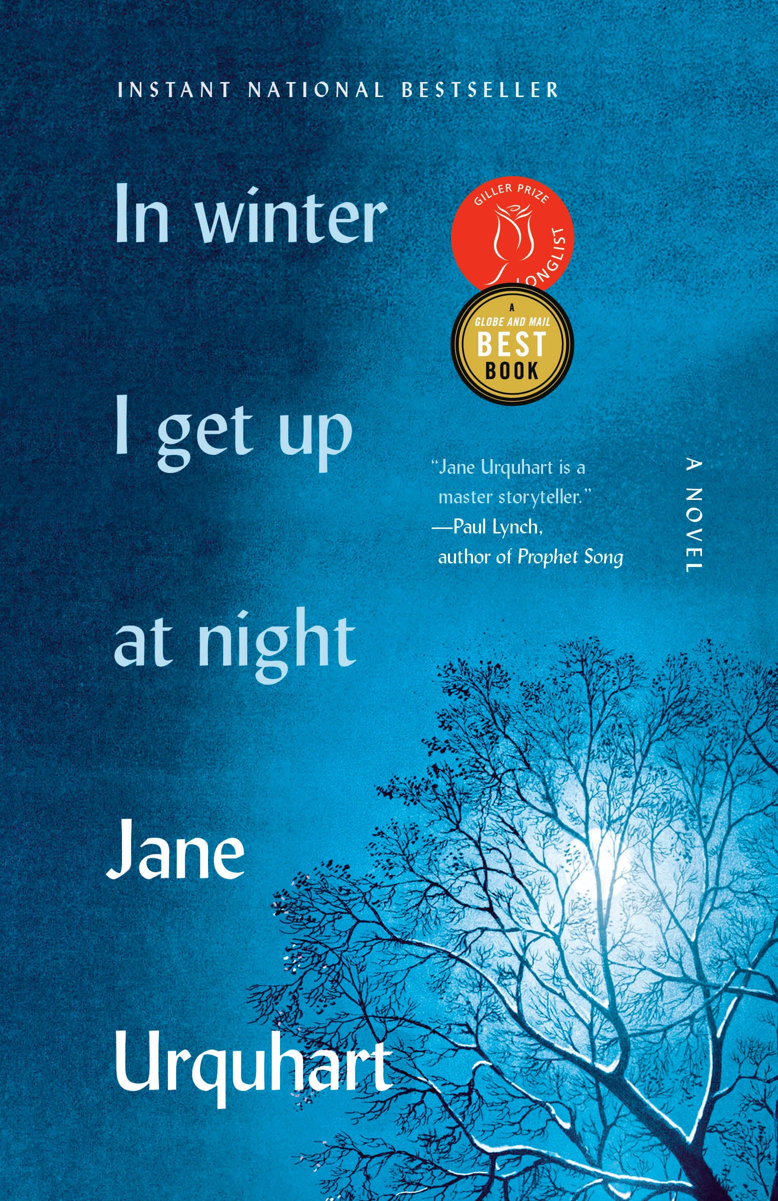 In Winter I Get Up at Night - A Novel