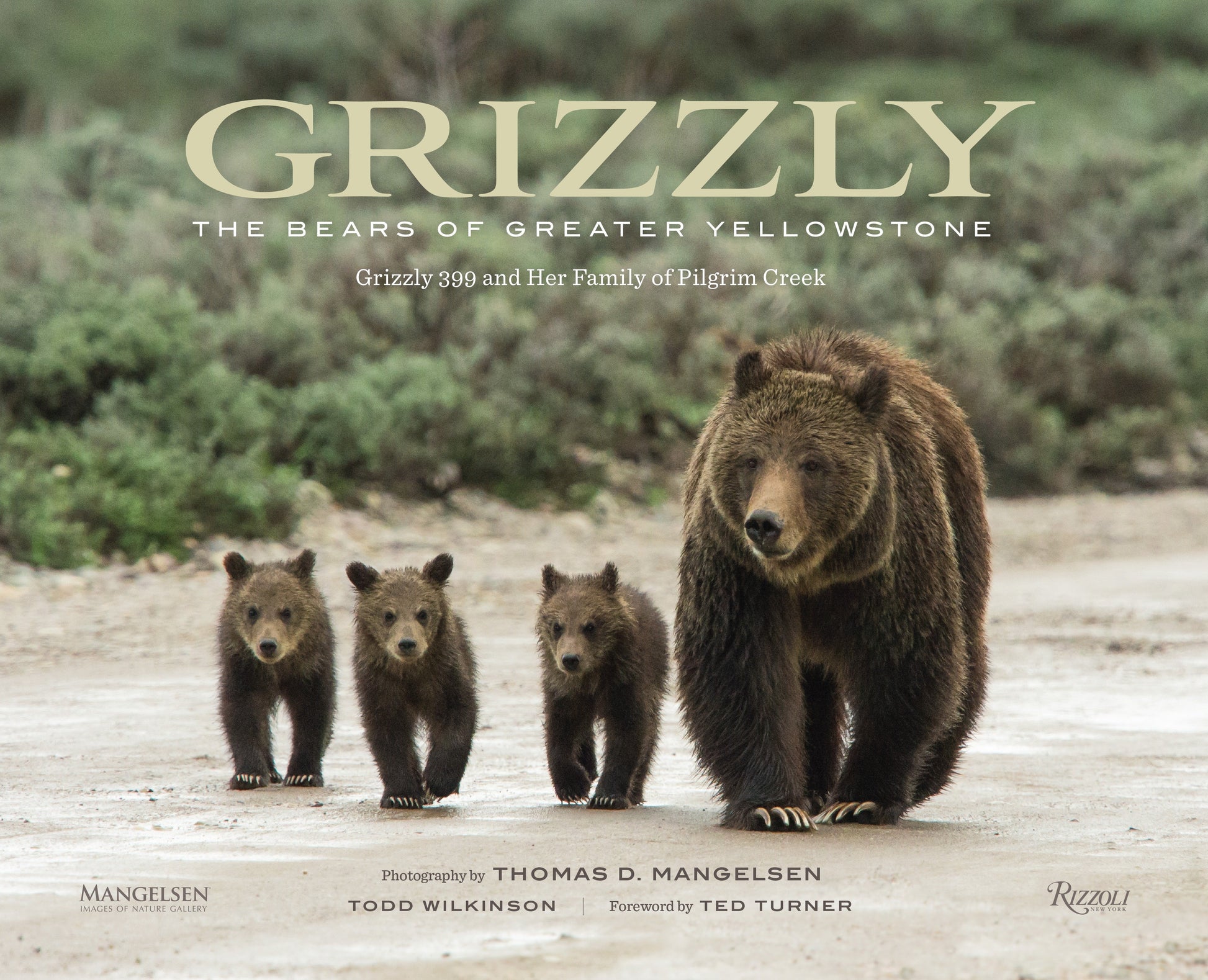 Grizzly - The Bears of Greater Yellowstone