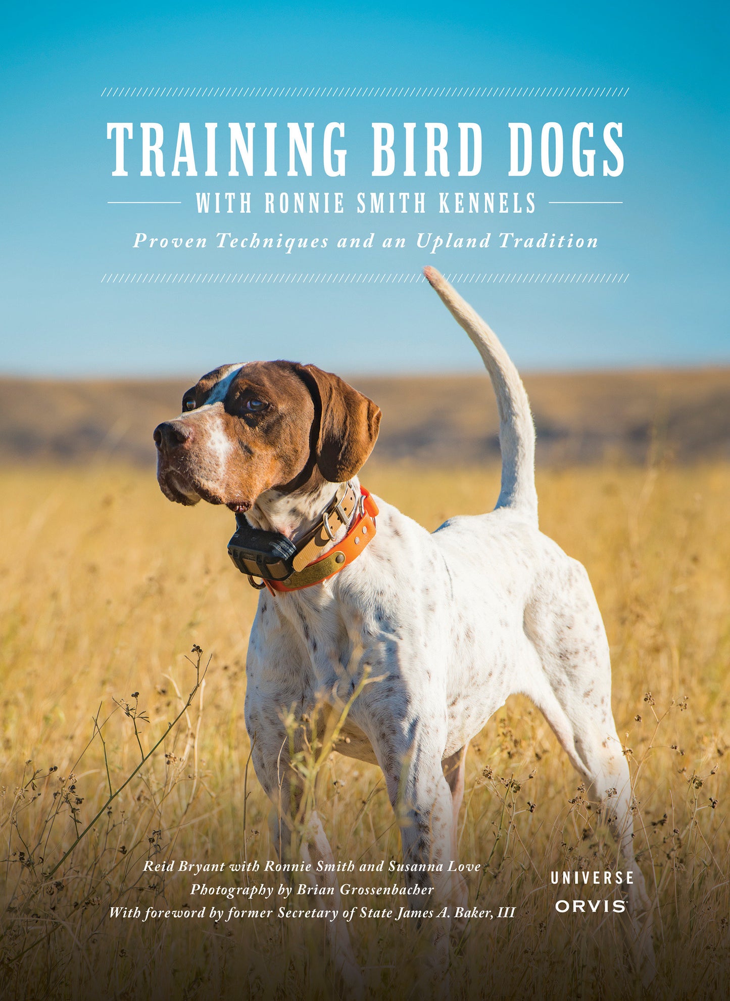 Training Bird Dogs with Ronnie Smith Kennels - Proven Techniques and an Upland Tradition