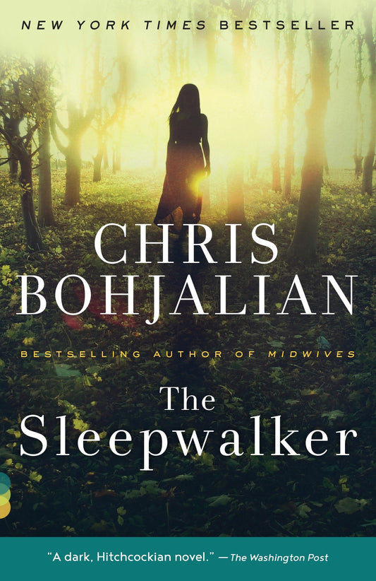 The Sleepwalker - A Novel (Vintage Contemporaries)