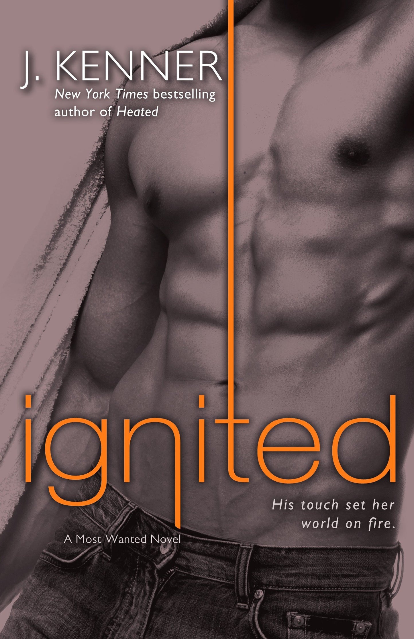 Ignited - A Most Wanted Novel (Most Wanted) (Book:3)
