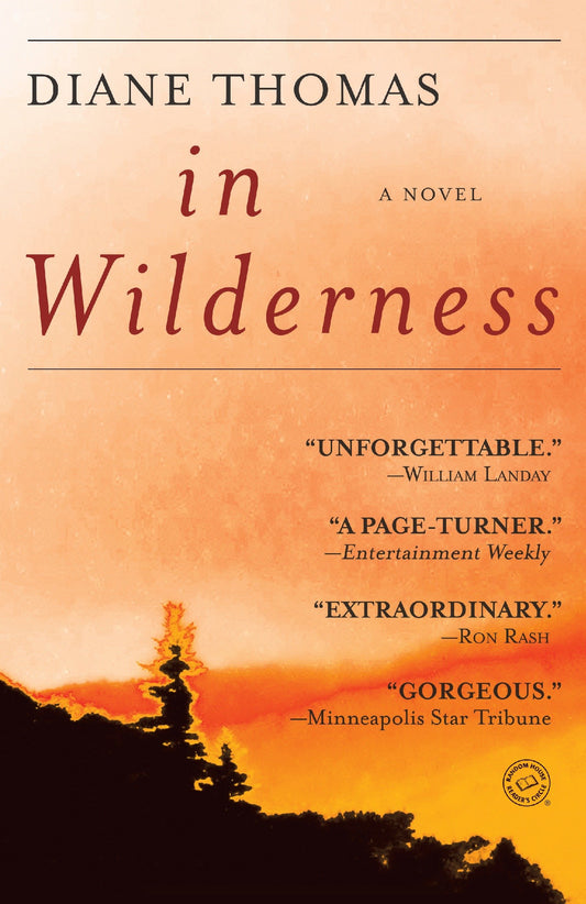 In Wilderness - A Novel