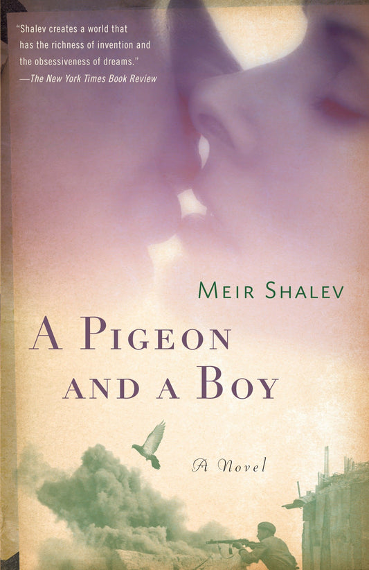 A Pigeon and a Boy - A Novel