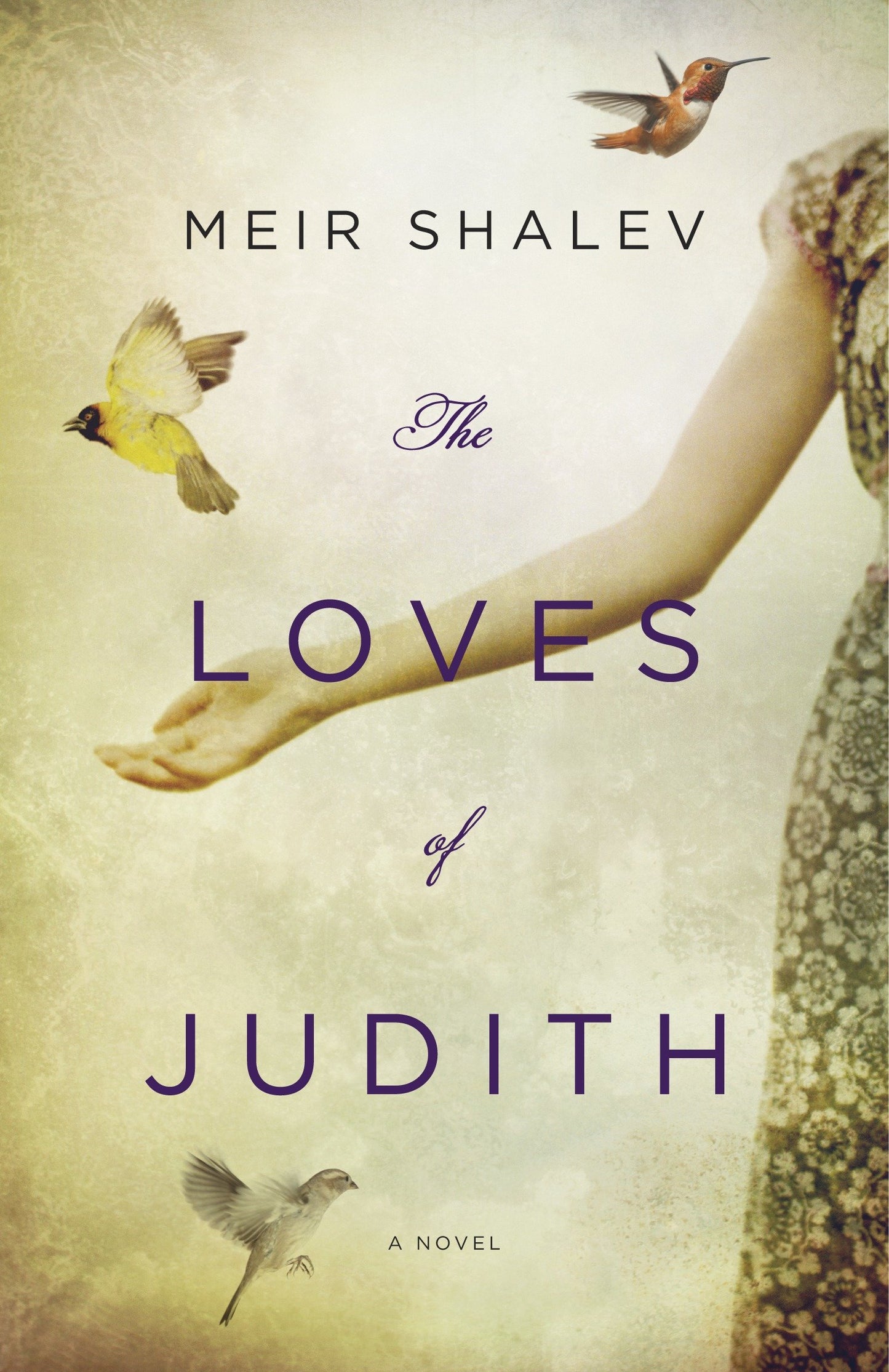 The Loves of Judith - A Novel
