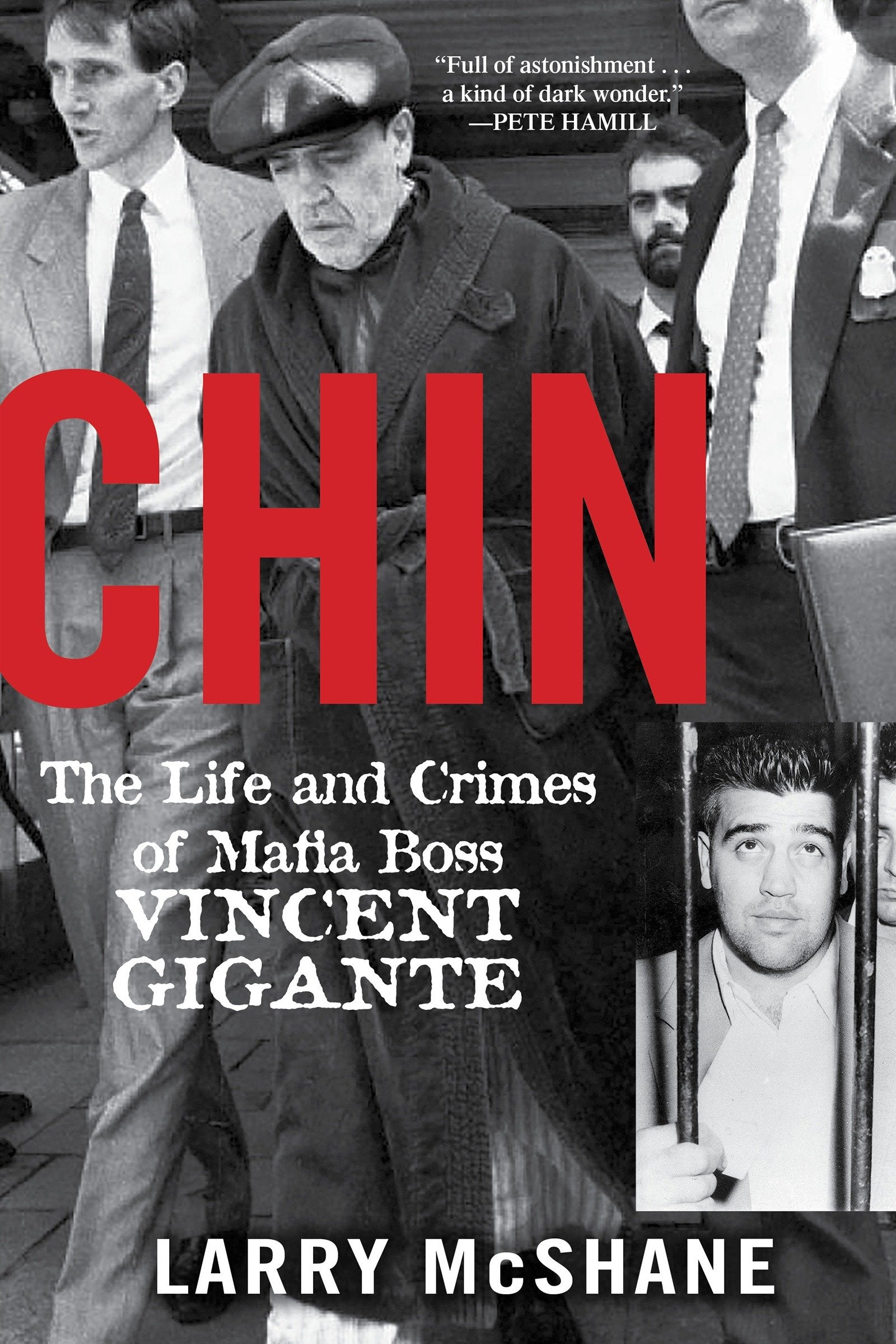 Chin - The Life and Crimes of Mafia Boss Vincent Gigante