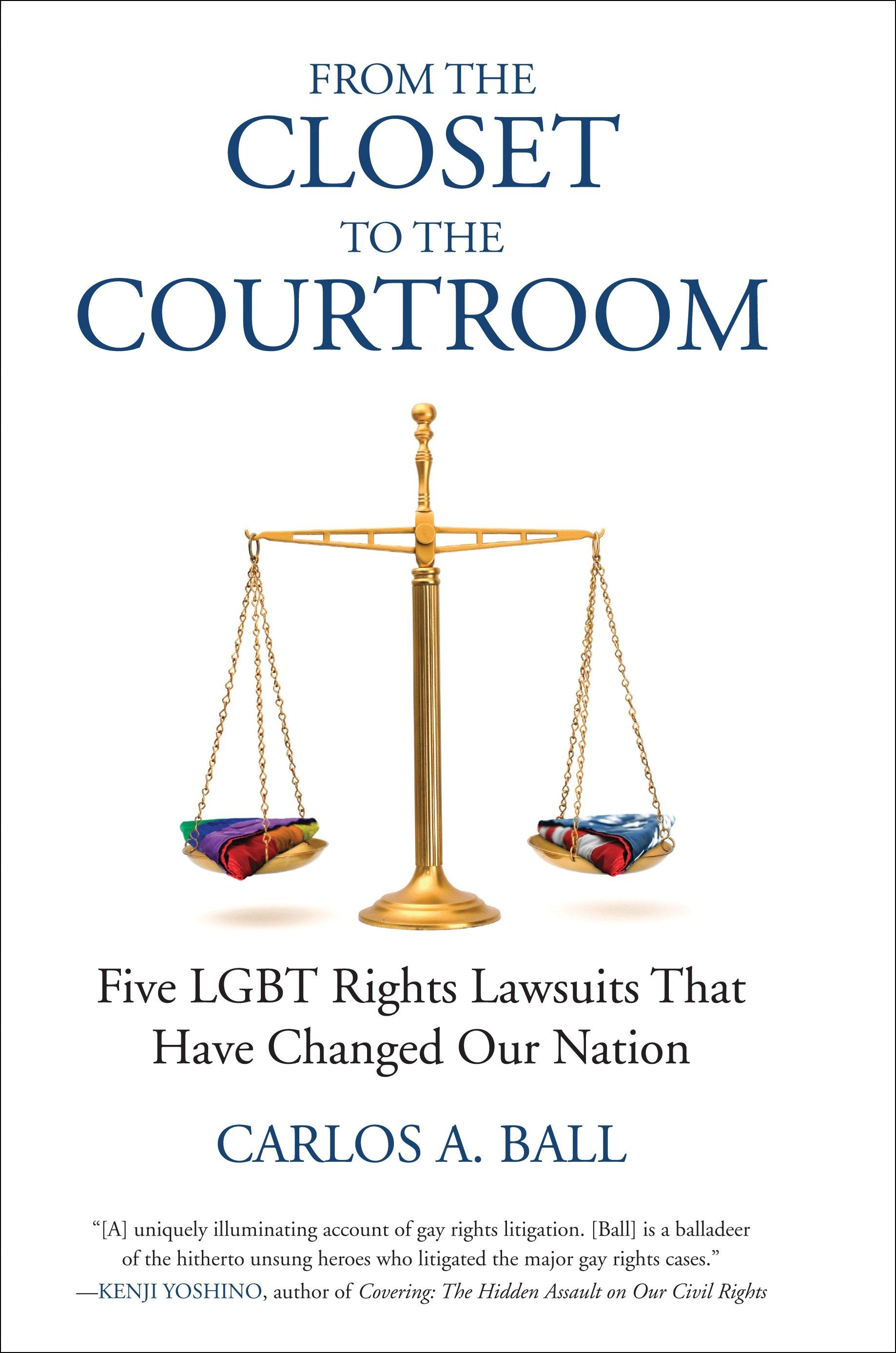 From the Closet to the Courtroom - Five LGBT Rights Lawsuits That Have Changed Our Nation (Queer Ideas/Queer Action) (Book:4)