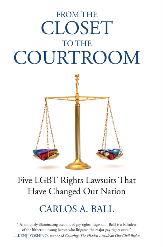 From the Closet to the Courtroom - Five LGBT Rights Lawsuits That Have Changed Our Nation (Queer Ideas/Queer Action) (Book:4)