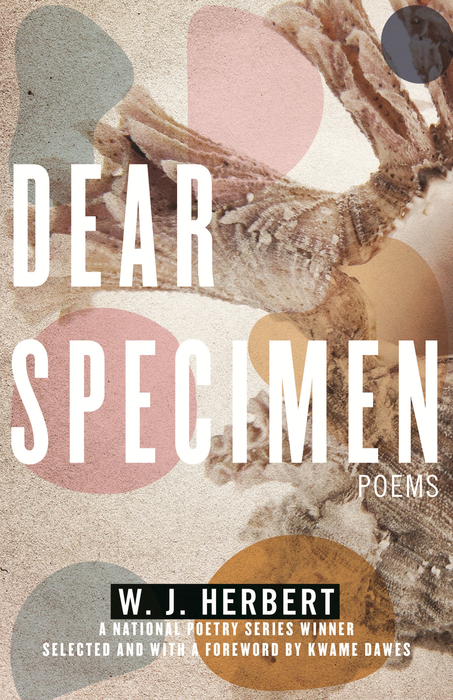 Dear Specimen - Poems (National Poetry Series) (Book:6)