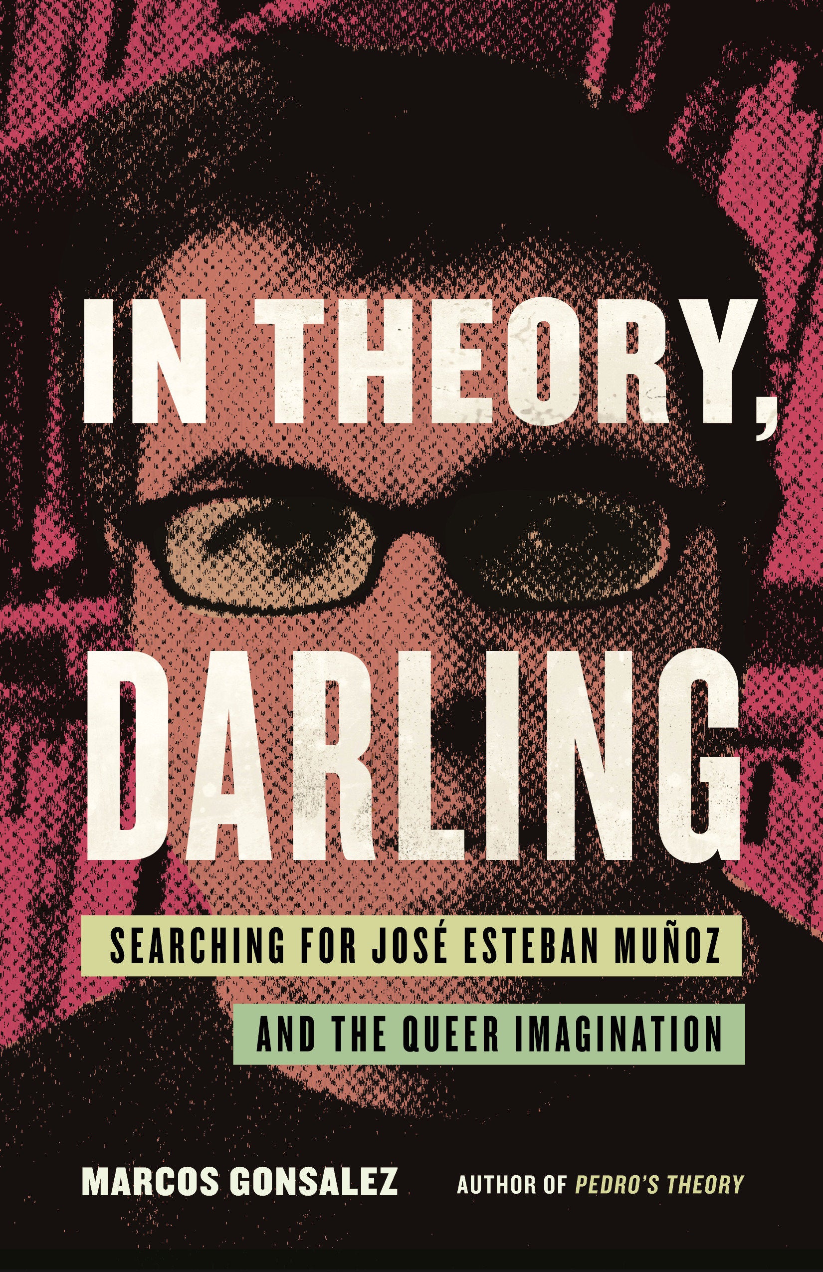 In Theory, Darling - Searching for Jos� Esteban Mu�oz and the Queer Imagination