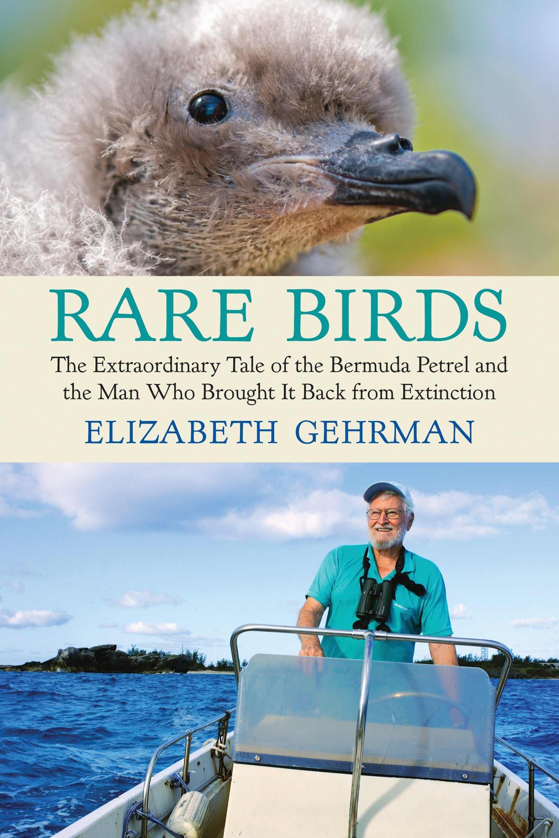 Rare Birds - The Extraordinary Tale of the Bermuda Petrel and the Man Who Brought It Back from Extinction