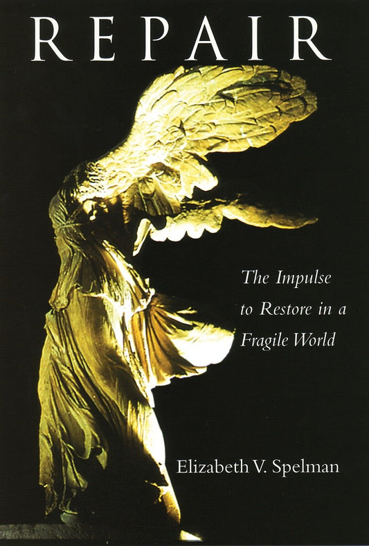 Repair - The Impulse to Restore in a Fragile World
