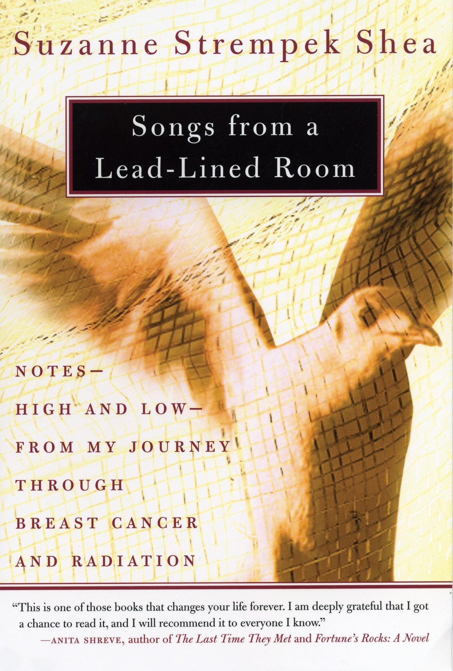 Songs from a Lead-Lined Room - Notes--High and Low--from My Journey through Breast Cancer and Radiation