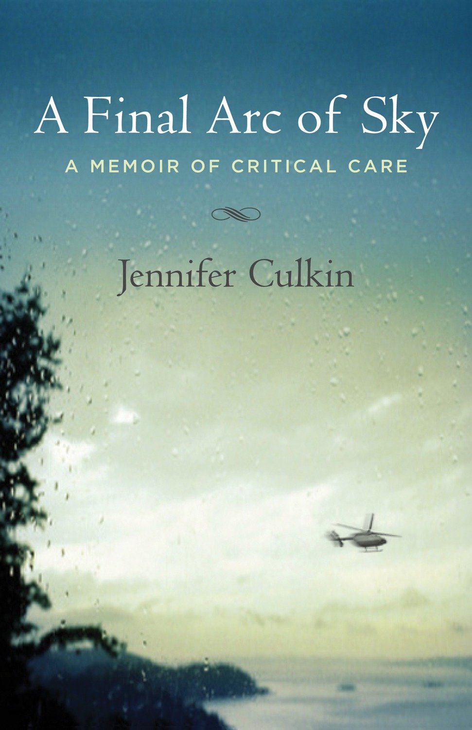 A Final Arc of Sky - A Memoir of Critical Care