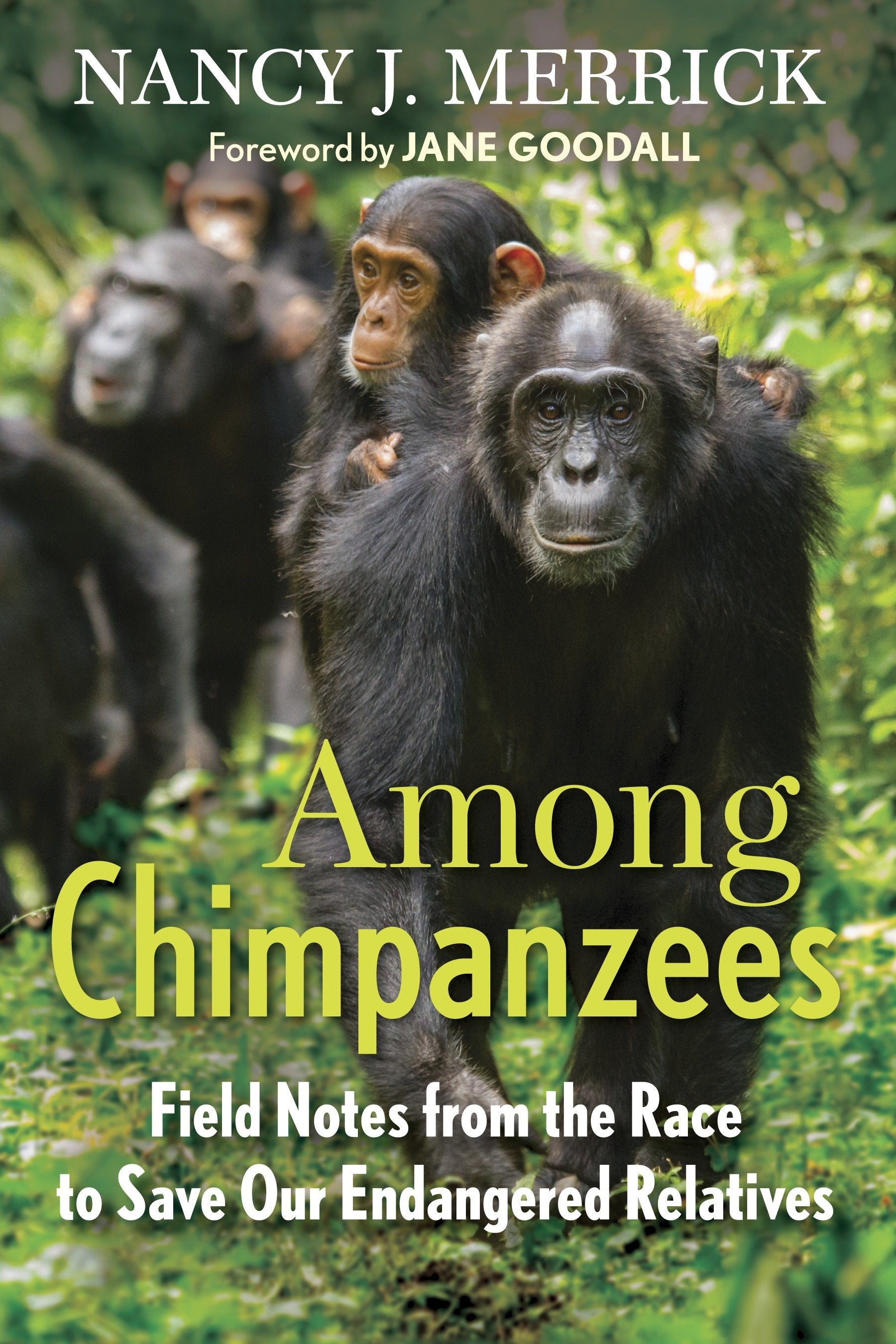 Among Chimpanzees - Field Notes from the Race to Save Our Endangered Relatives