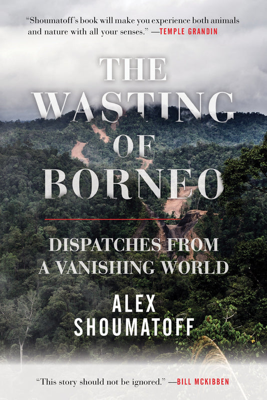 The Wasting of Borneo - Dispatches from a Vanishing World