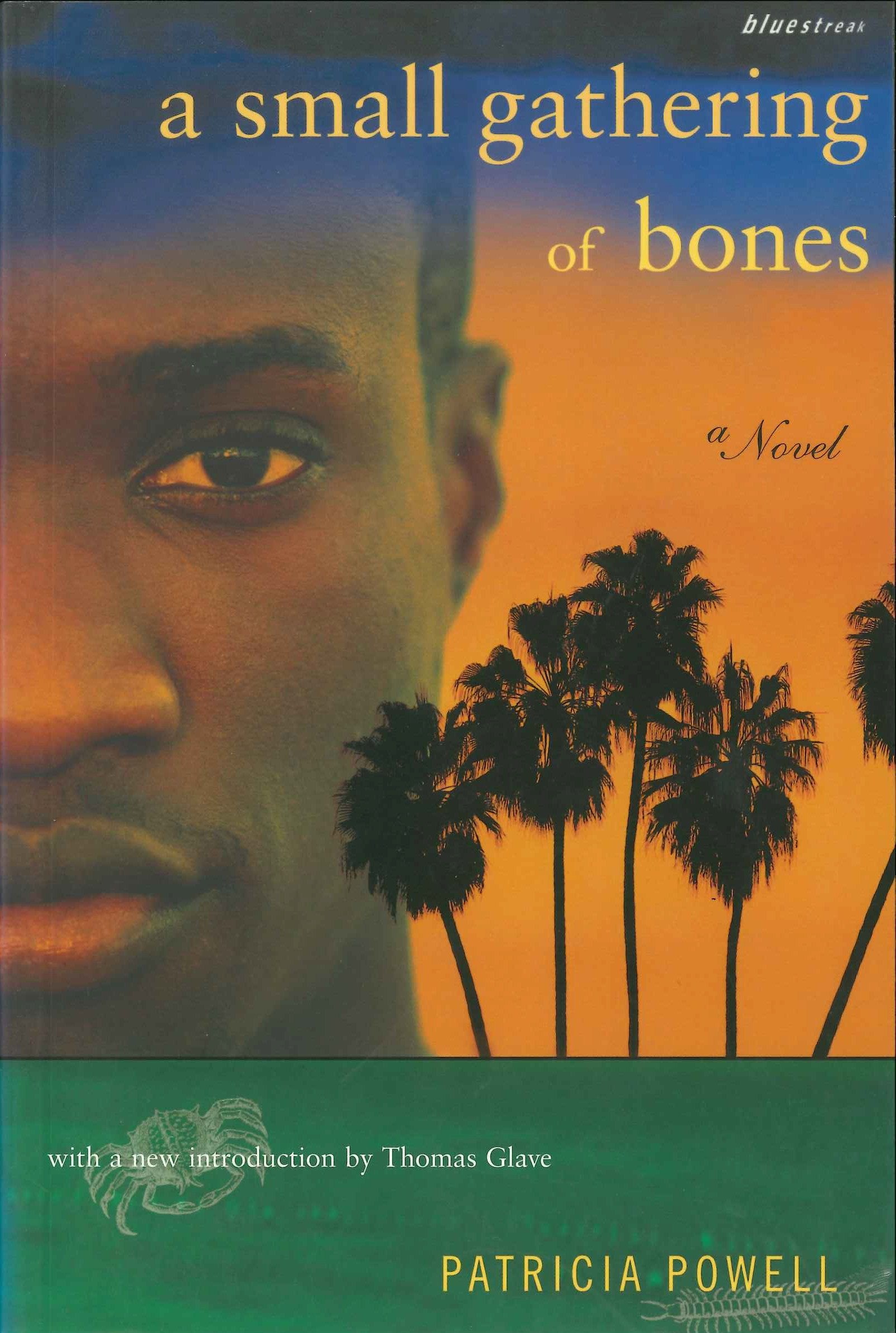 A Small Gathering of Bones (Bluestreak) (Book:21)