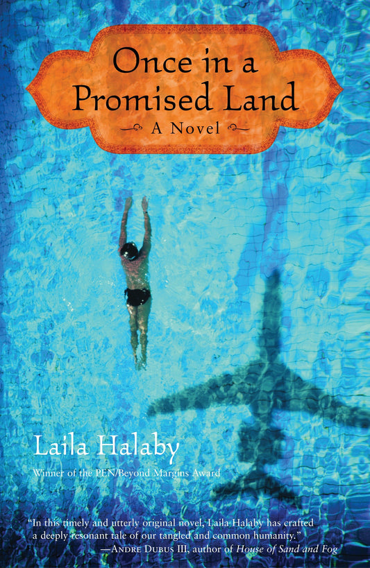 Once in a Promised Land - A Novel