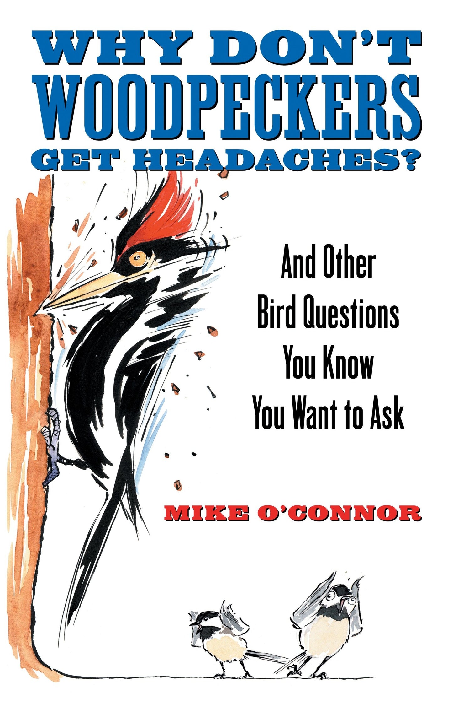 Why Don't Woodpeckers Get Headaches? - And Other Bird Questions You Know You Want to Ask