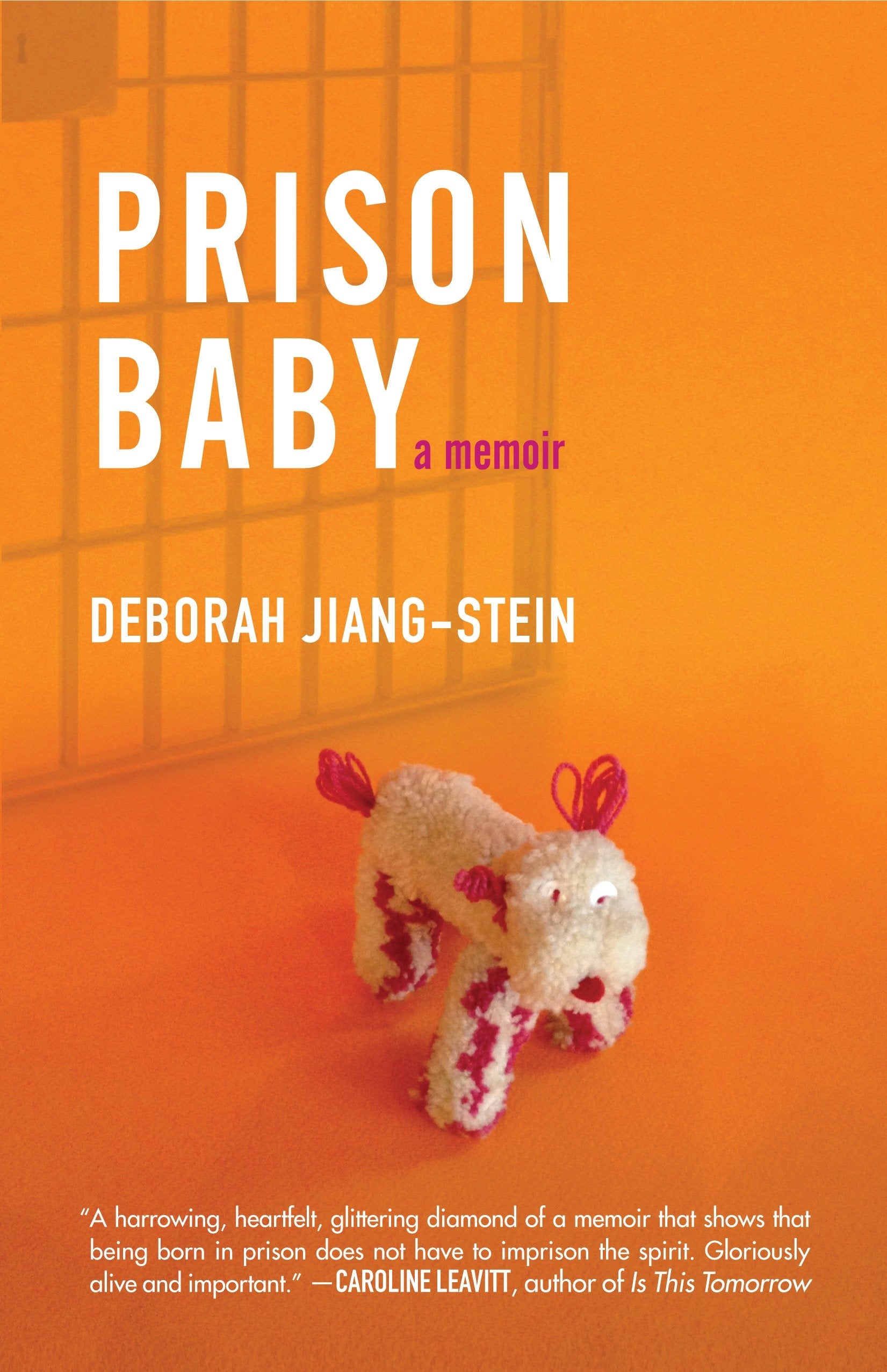 Prison Baby - A Memoir