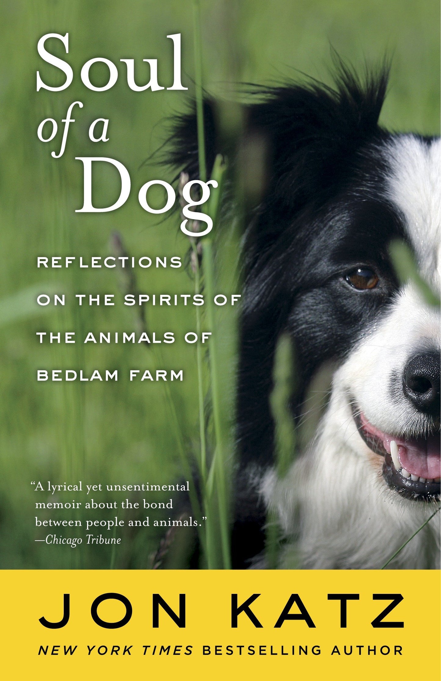 Soul of a Dog - Reflections on the Spirits of the Animals of Bedlam Farm