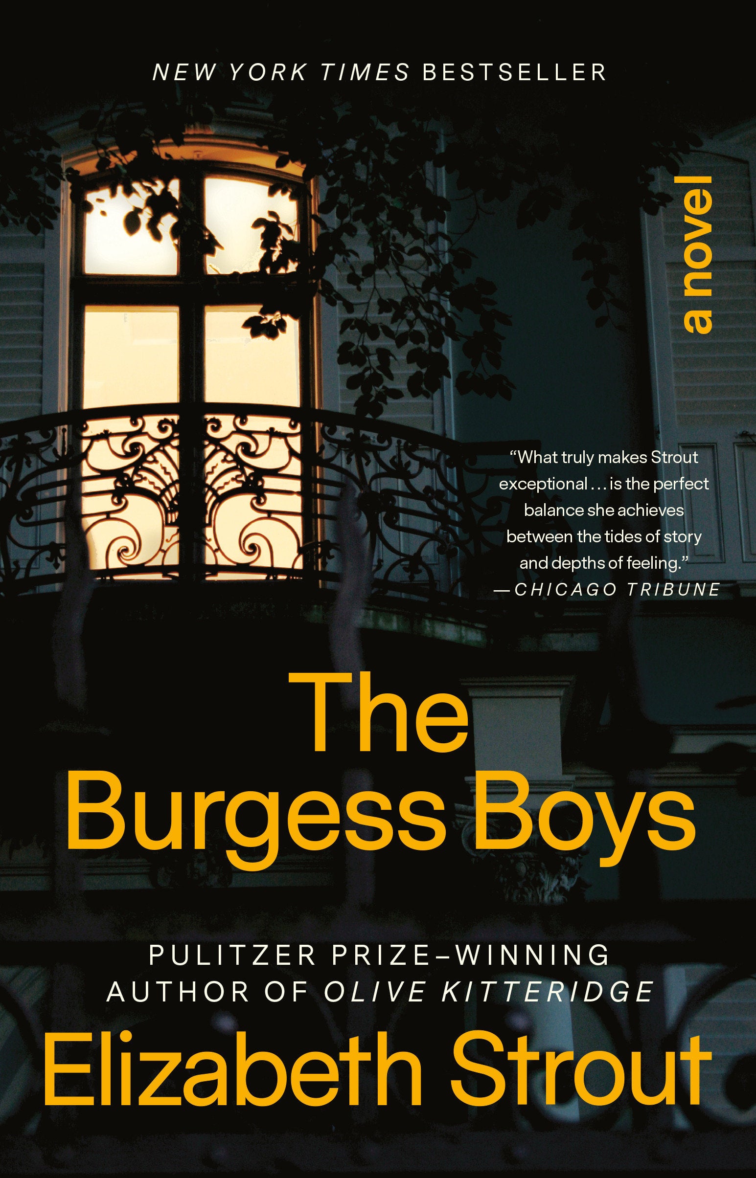 The Burgess Boys - A Novel