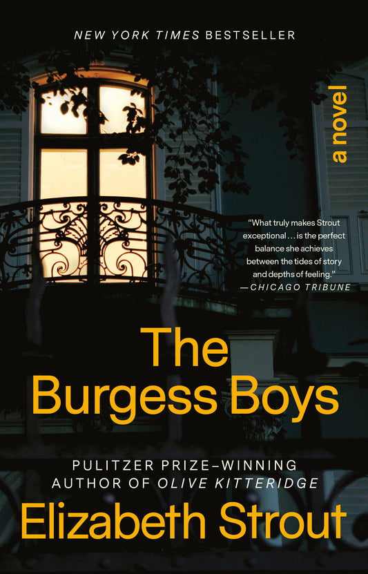 The Burgess Boys - A Novel