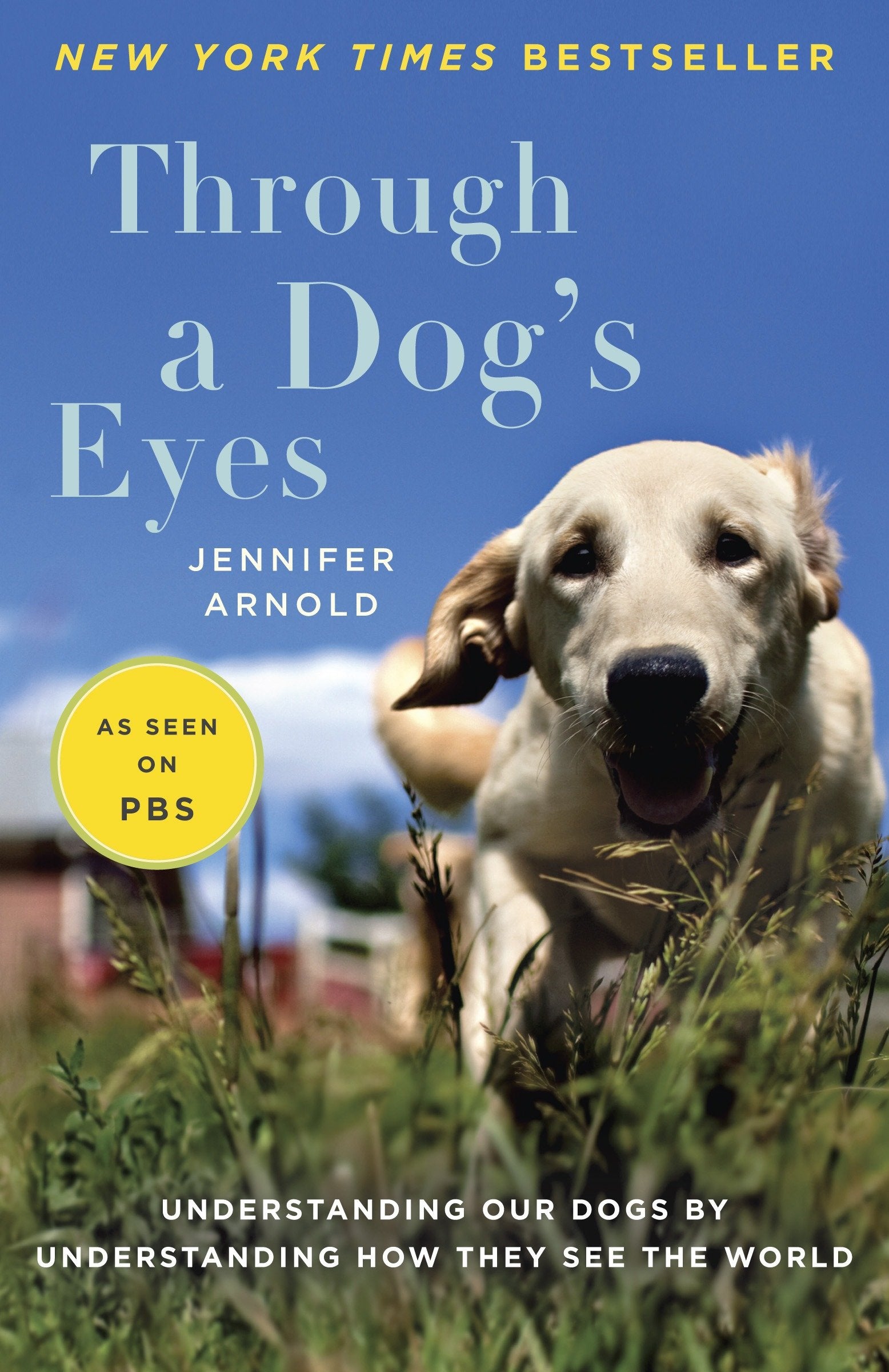 Through a Dog's Eyes - Understanding Our Dogs by Understanding How They See the World